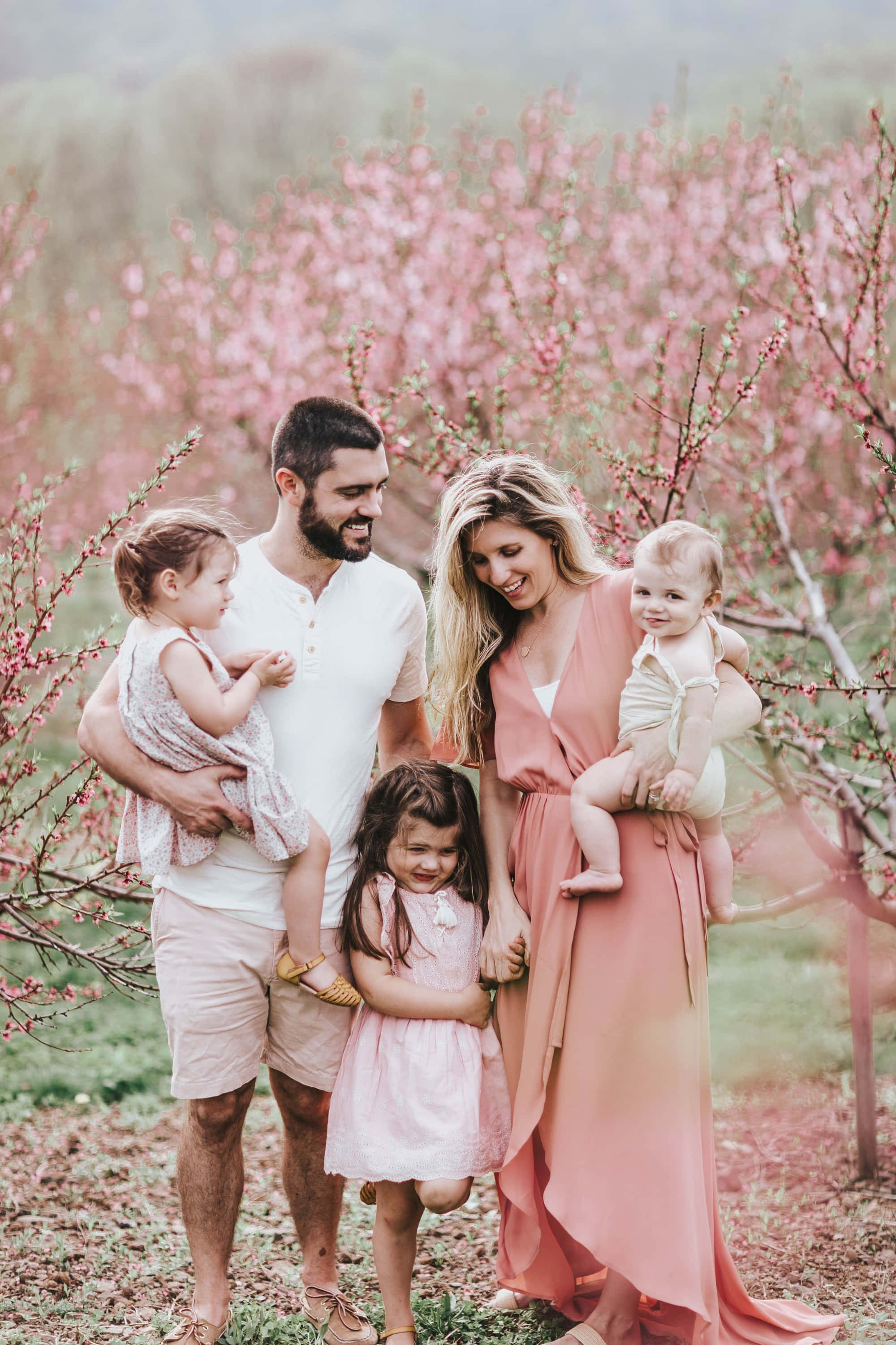 Spring Family 桌布 壁紙 — 一個五口之家在柔和春日裡，微笑著在一片盛開的粉紅色桃樹田中合影。