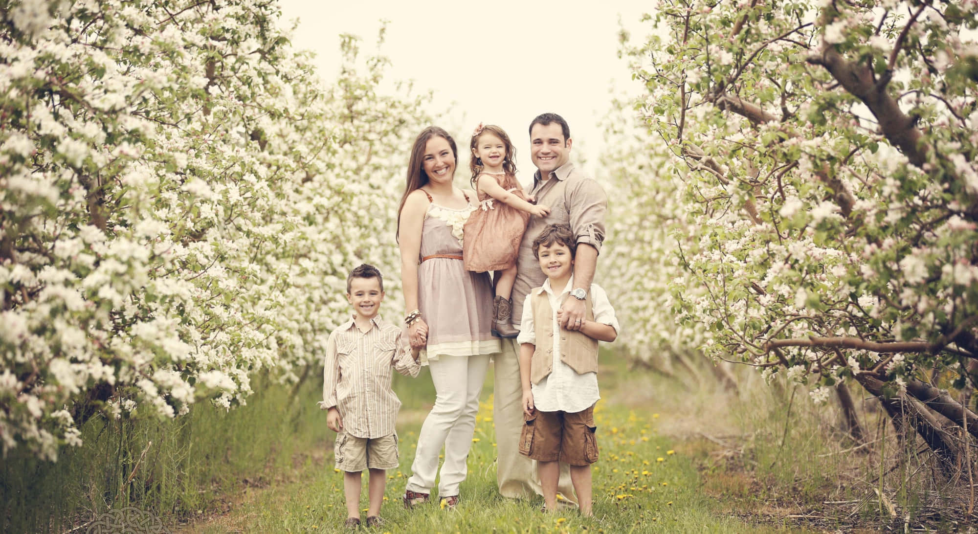Spring Family 桌布 壁紙 — 一個五口之家微笑著站在陽光明媚的果園裡，周圍是盛開的白花樹。