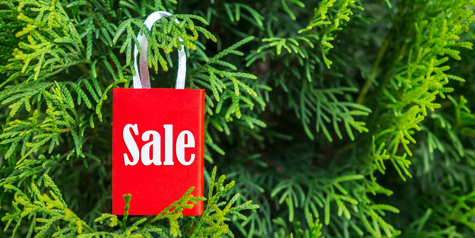 Red Sale Bag Hanging on Green Tree Branch 壁紙 — 一個亮紅色購物袋，配有白色提把和粗體白色促銷文字，掛在充滿活力的綠色松針之間。