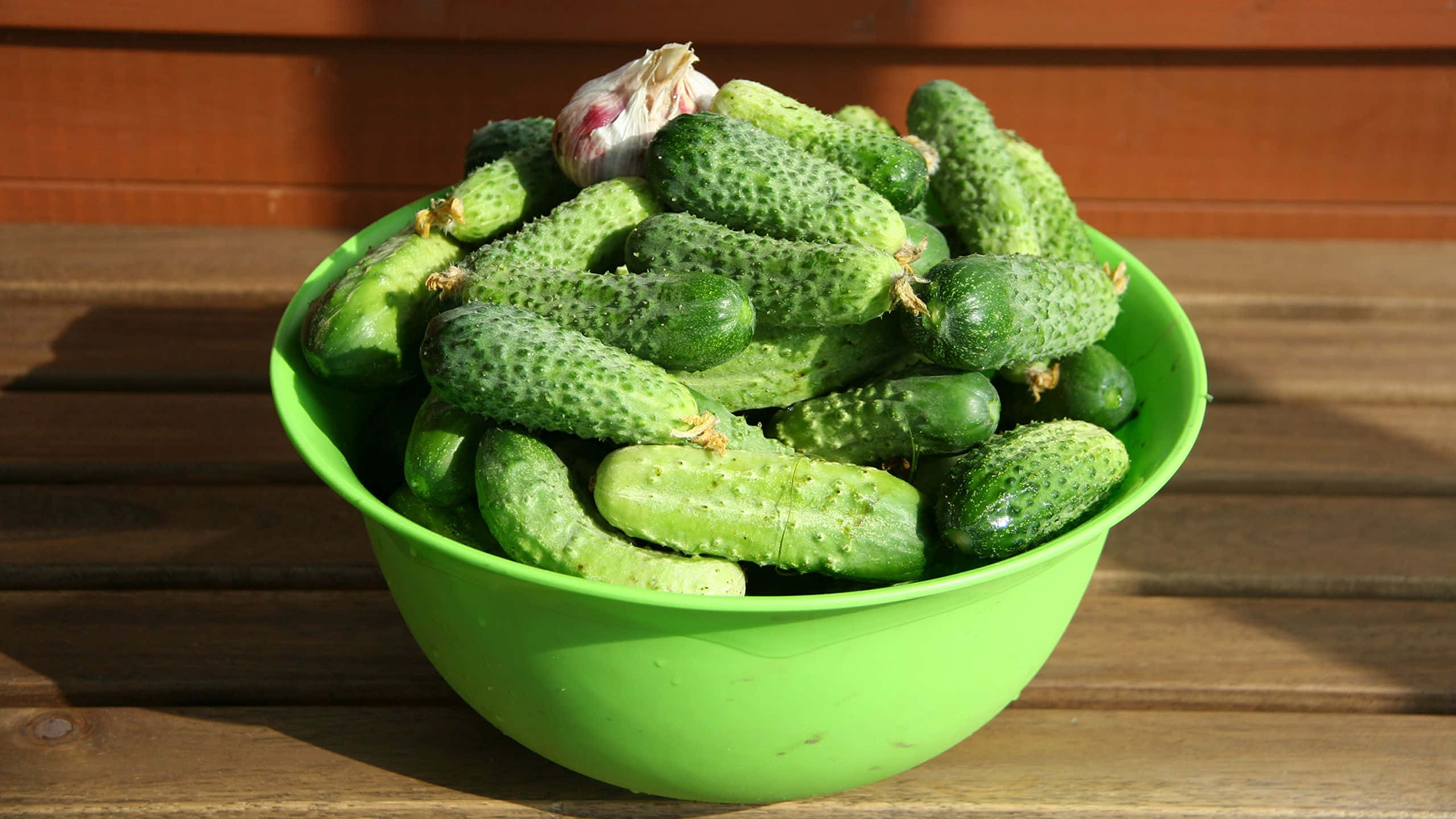 cucumber 桌布 壁紙 — 一個亮綠色的碗，裝滿新鮮凹凸不平的小黃瓜和一個蒜頭，放在溫暖陽光下的木甲板上。