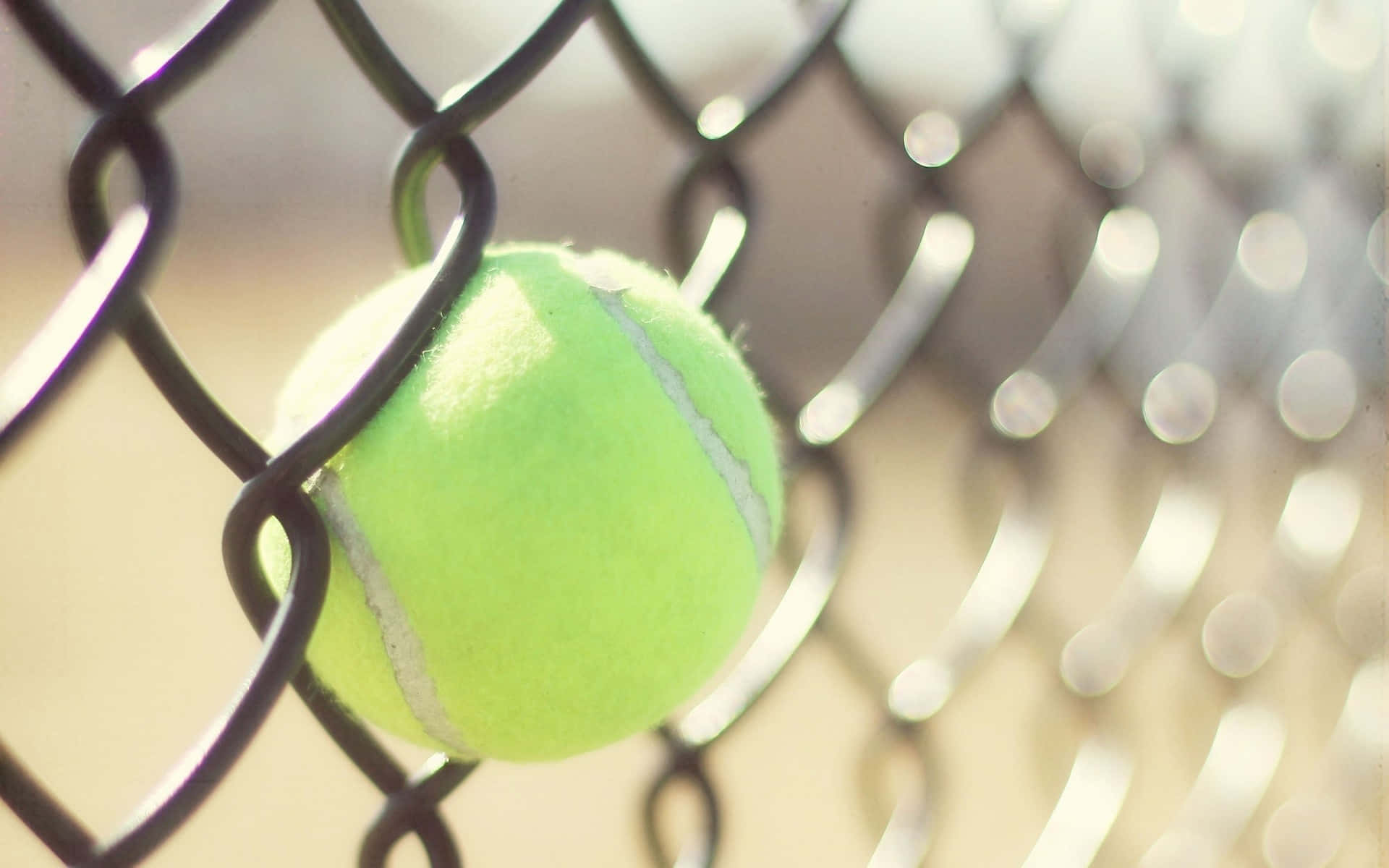 Tennis Ball 桌布 壁紙 — 一個亮綠色的網球靠在黑色鐵絲網上，柔和的光線穿過網格。