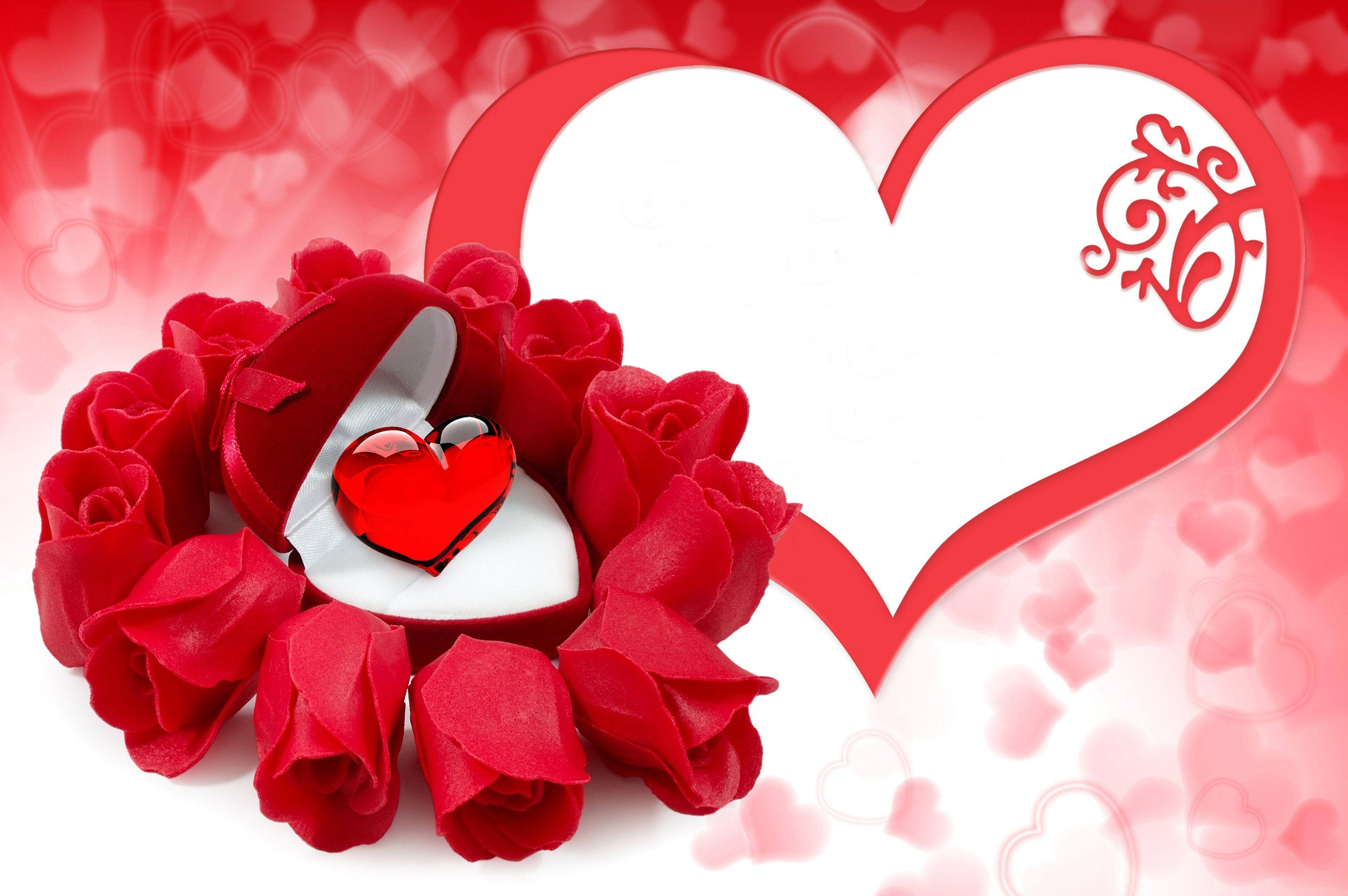 Red Roses 桌布 壁紙 — 一個亮面紅色心形放在打開的盒子裡，周圍環繞著深紅玫瑰，背景是柔和的粉紅色心形圖案。