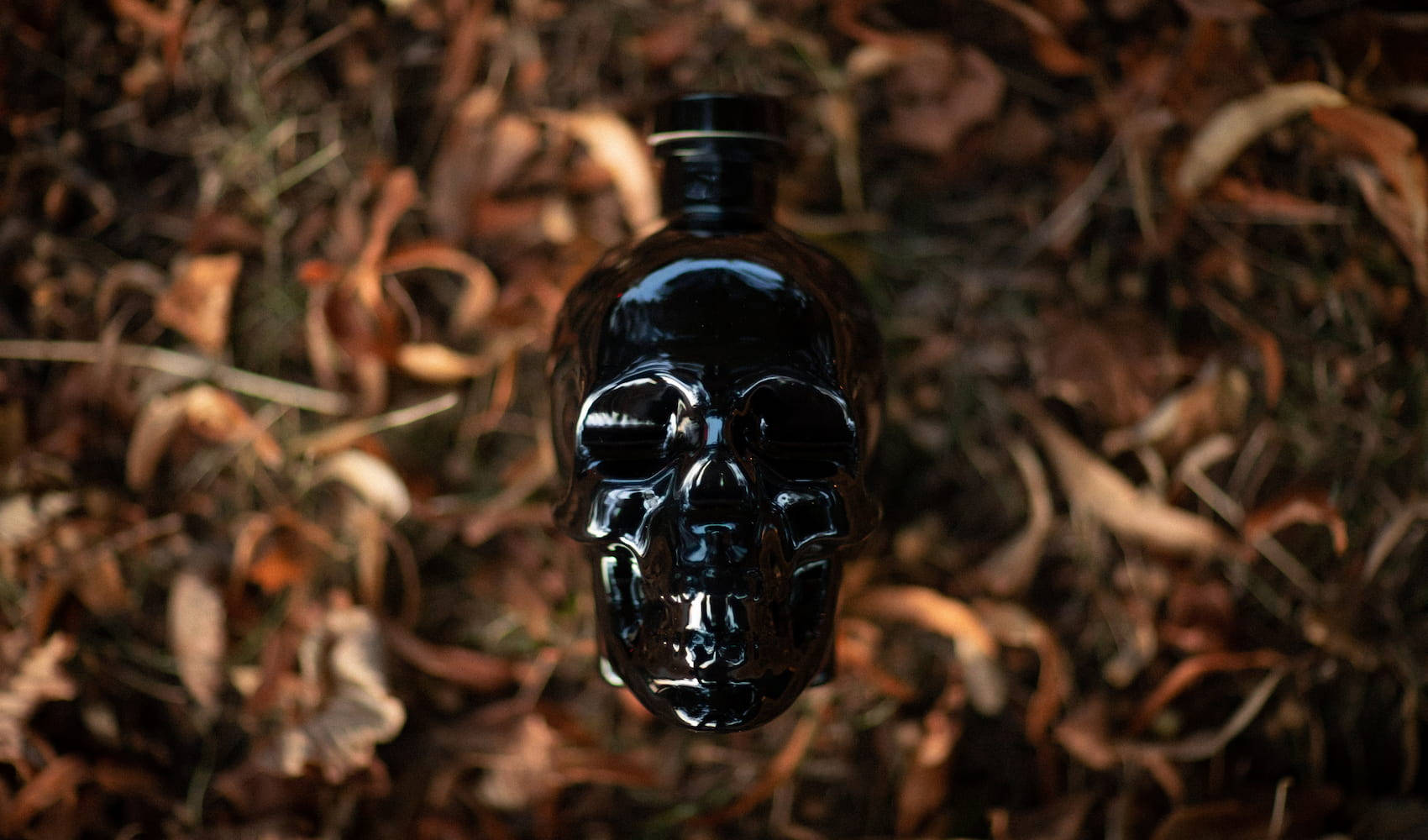 Drink 桌布 壁紙 — 一個亮面黑色骷髏形狀的瓶子放在昏暗森林地上乾燥的棕色秋葉之間。
