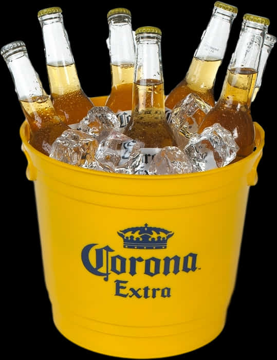 Beer 桌布 壁紙 — 一個亮黃色的Corona Extra桶，裝滿冰塊和冰凍啤酒瓶，背景為黑色。