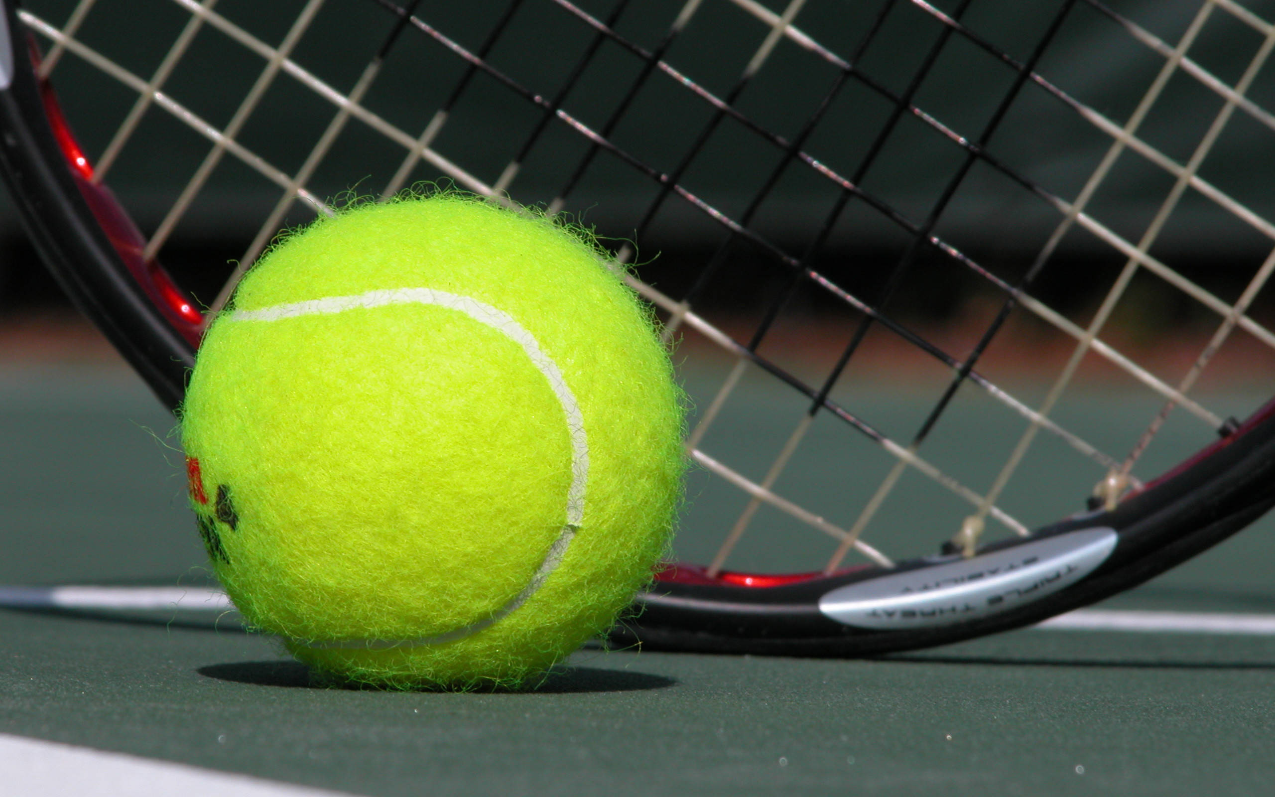 Tennis 桌布 壁紙 — 一個亮黃色的網球放在綠色球場上，旁邊有一把帶紅色點綴的黑色網球拍。