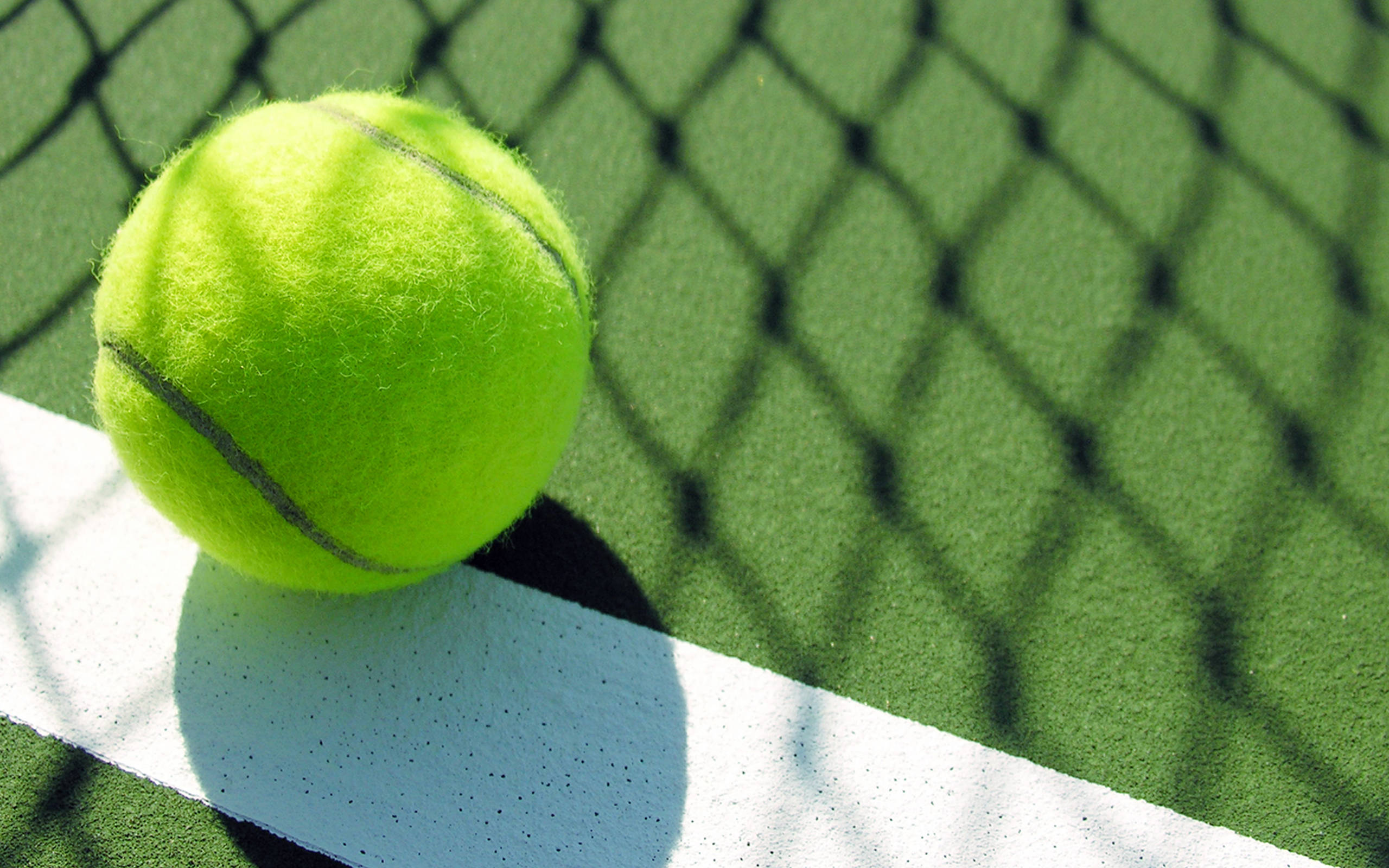 Tennis 桌布 壁紙 — 一個亮黃色的網球放在綠色球場上清晰的白色線上，鐵絲網圍欄投下陰影。