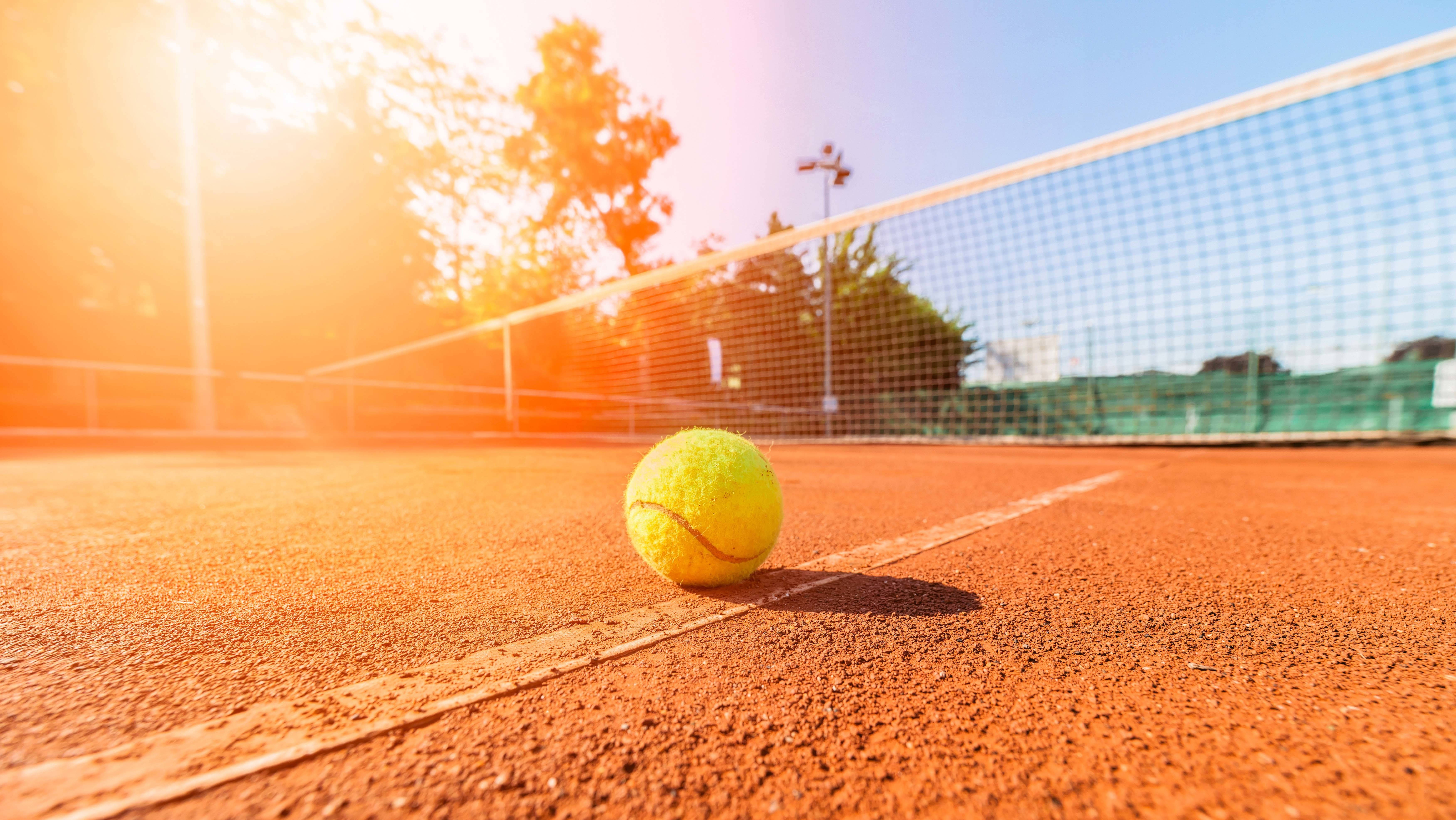 Tennis 桌布 壁紙 — 一個亮黃色的網球放在陽光普照的紅土球場上，背景有球網和樹木。