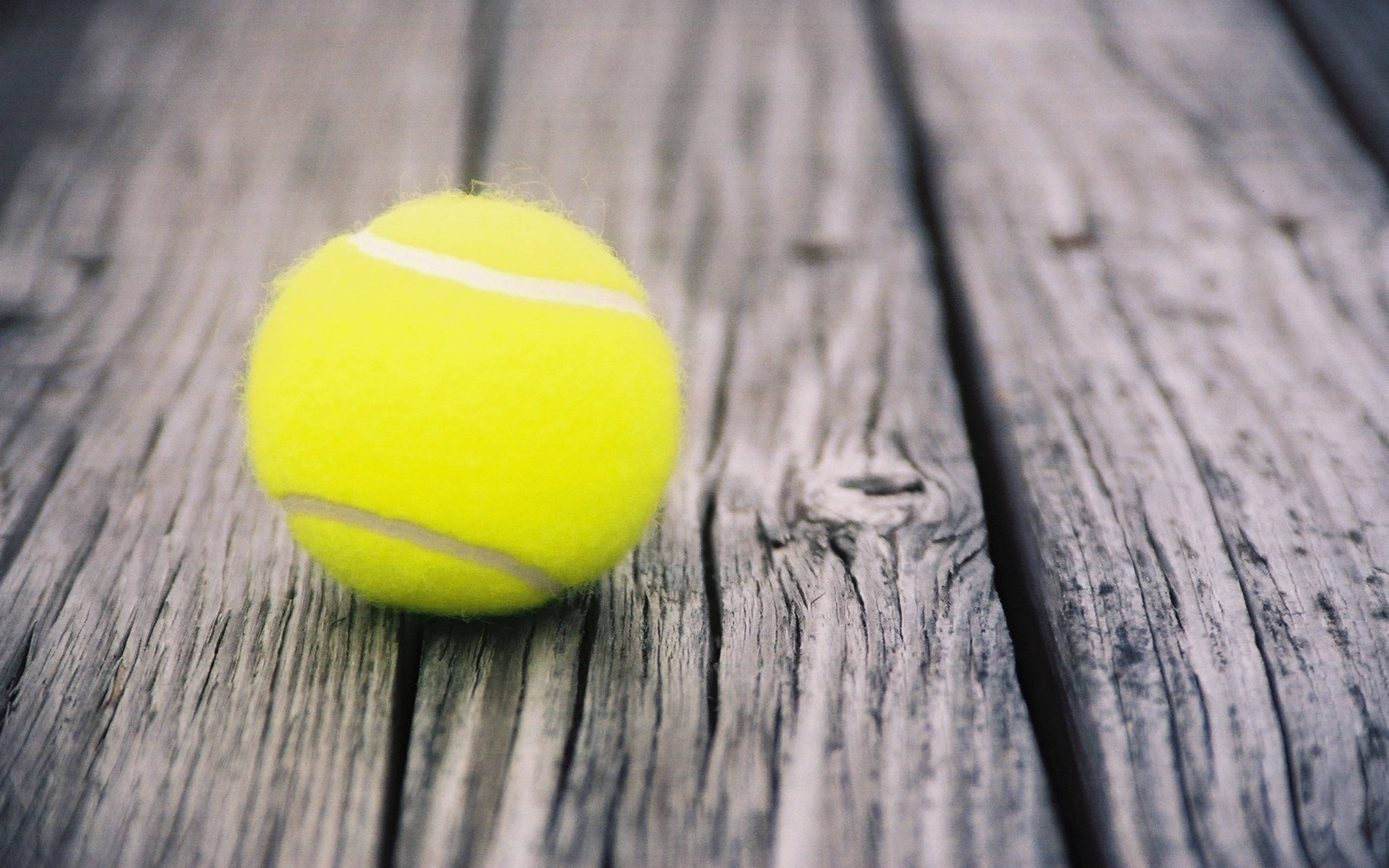 Tennis 桌布 壁紙 — 一個亮黃色的網球放在風化的灰色木板上，背景柔和模糊。