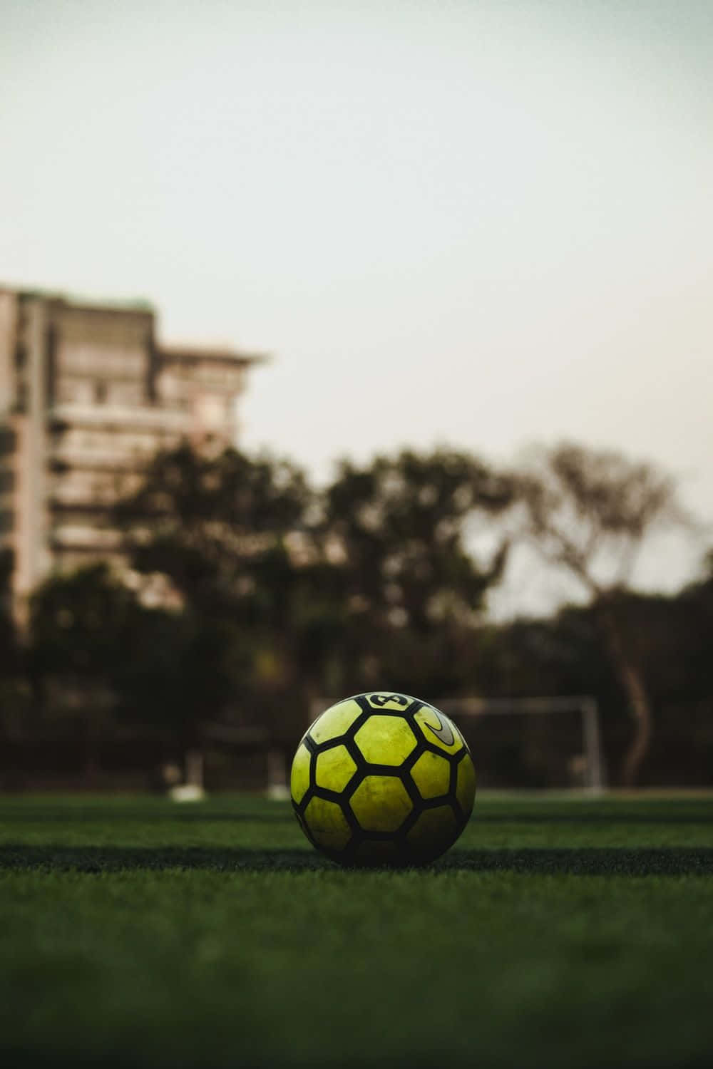 Soccer Aesthetic 桌布 壁紙 — 一個亮黃色的足球放在充滿活力的綠色草地上，背景是模糊的城市建築和樹木。