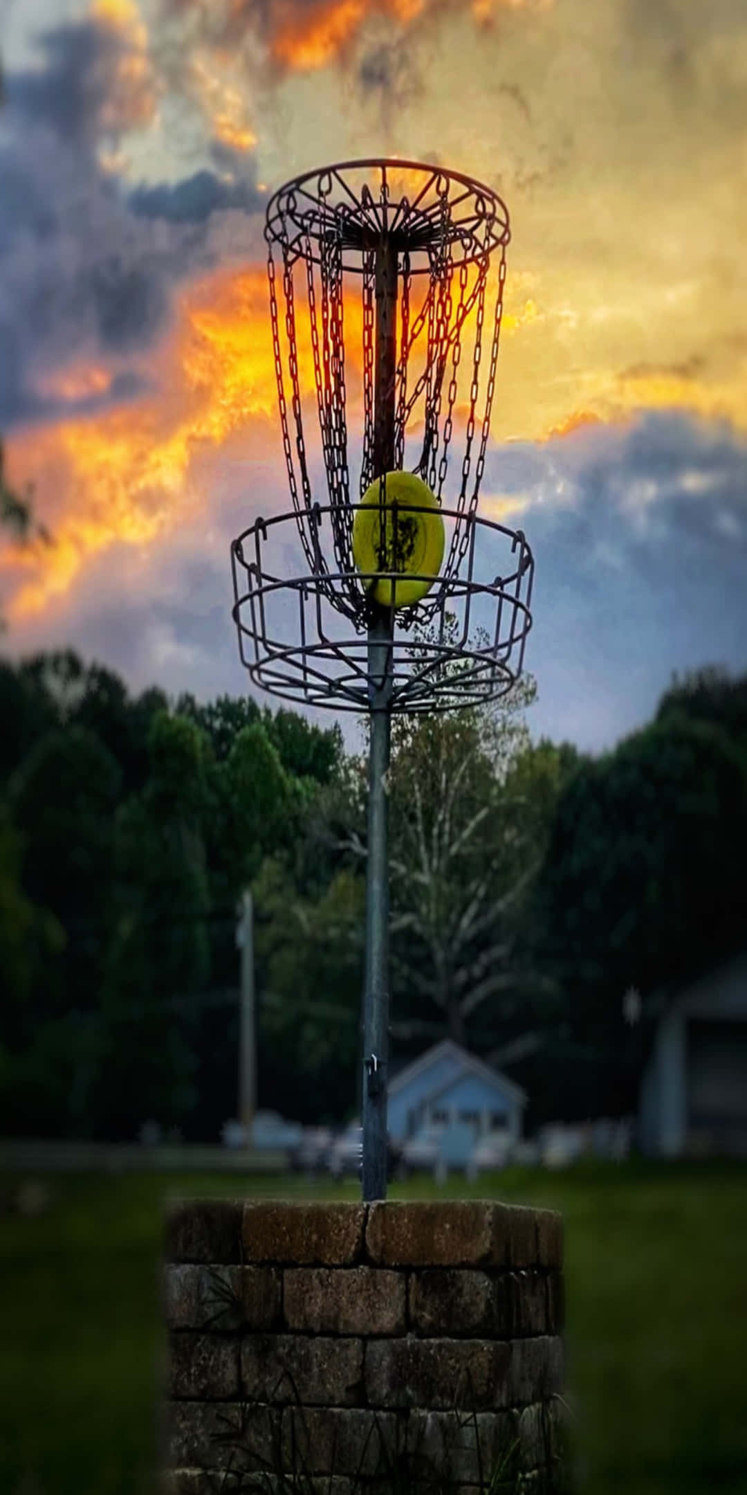 Pixel 3 Frisbee 桌布 壁紙 — 一個亮黃色的飛盤完美地放在金屬飛盤高爾夫籃框中，背景是火紅的日落天空。