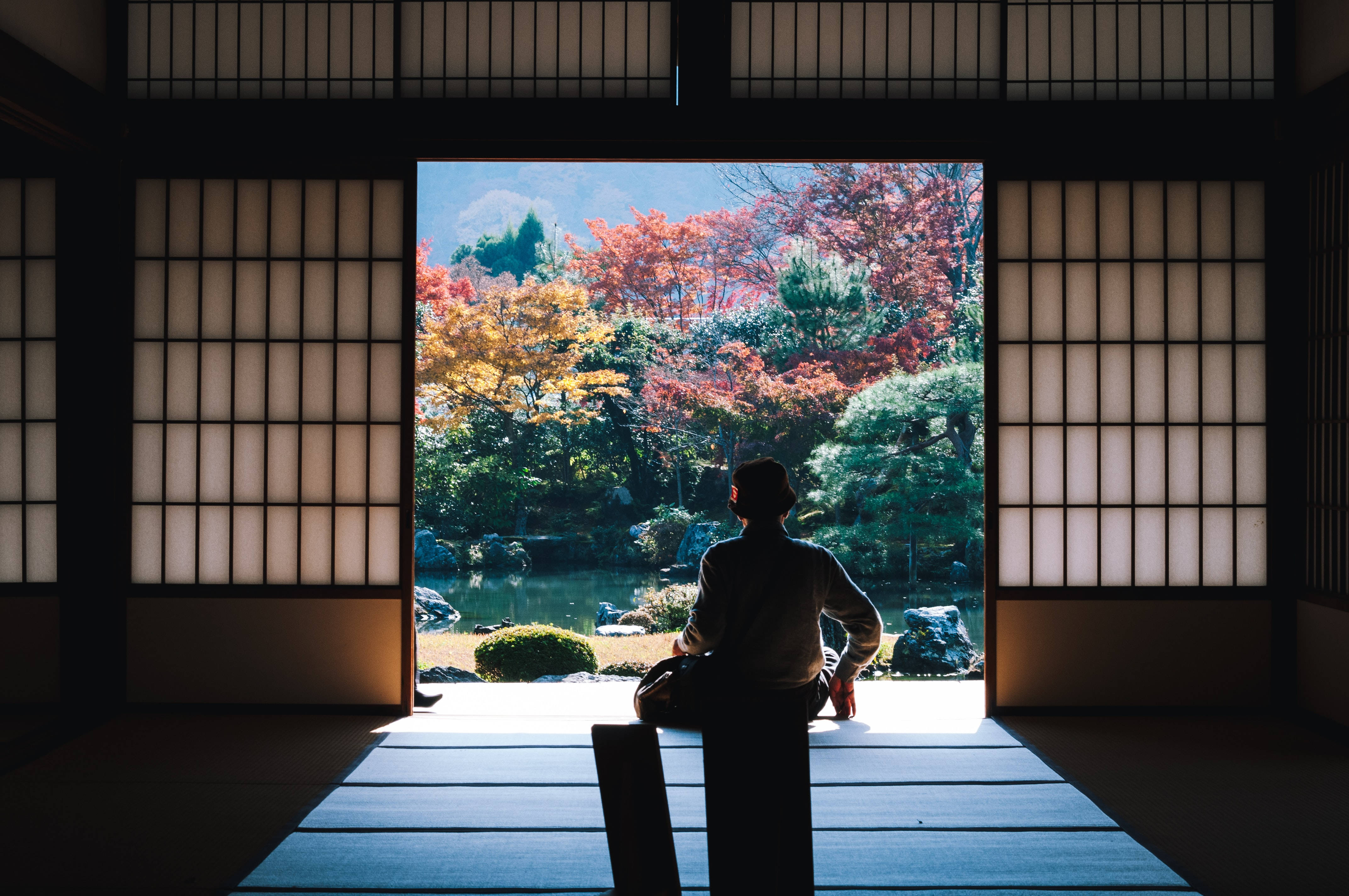 Japanese Aesthetic 桌布 壁紙 — 一個人以剪影形式坐在傳統日式房間的榻榻米上，凝視著外面色彩繽紛的樹木和池塘所構成的生機勃勃的秋日花園。