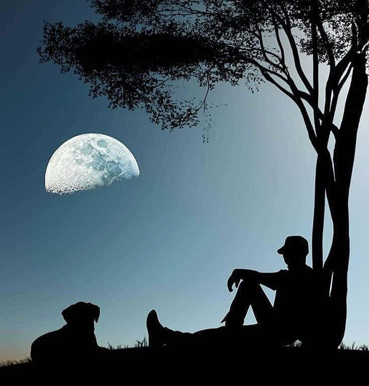 Moonlit Solitude – Where Silence Speaks 壁紙 — 一個人和一隻狗以剪影形式坐在樹下，凝視著暮色天空中細節豐富的彎月。