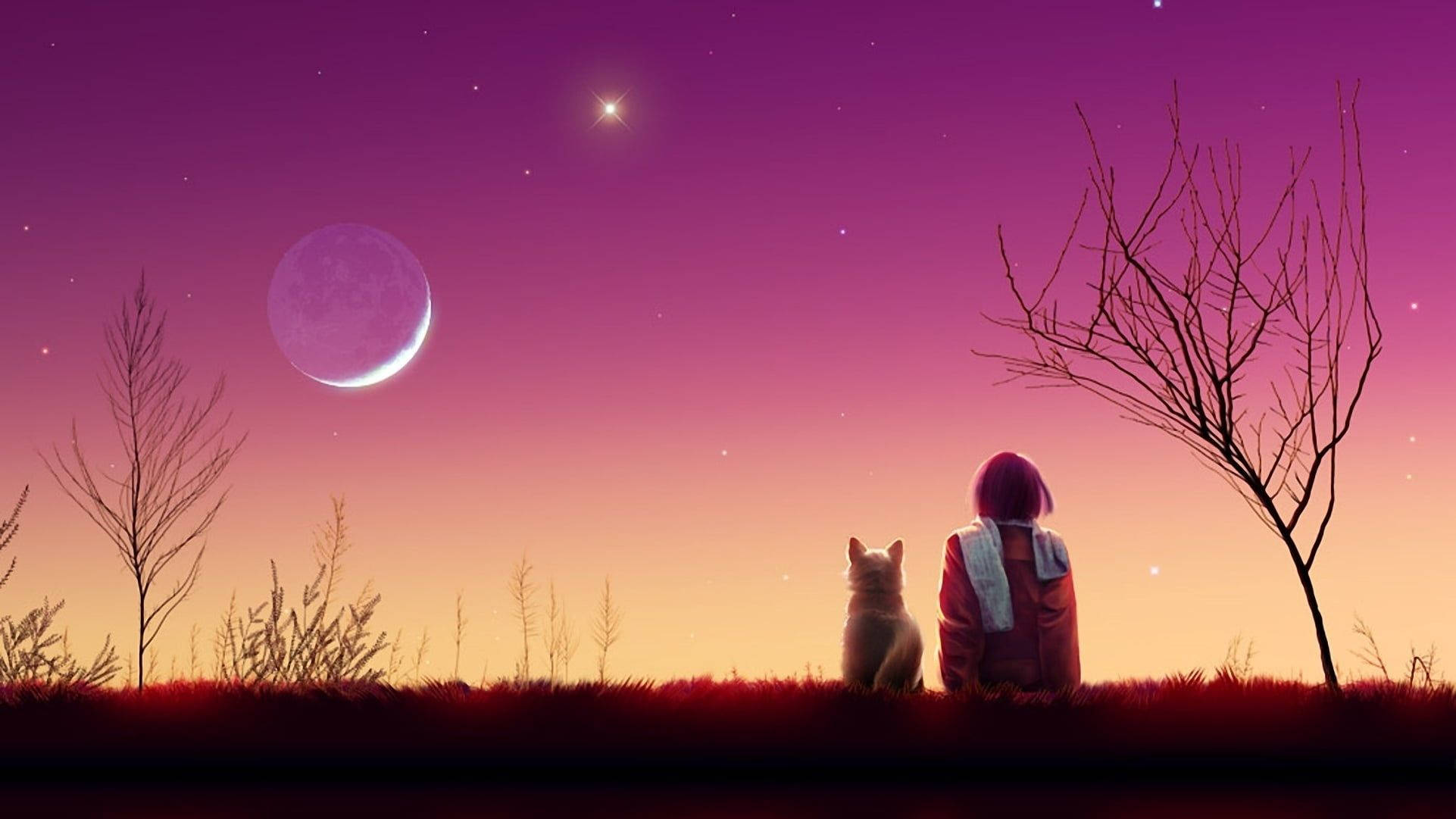 Dog And Girl 桌布 壁紙 — 一個人和一隻貓一起坐在草地上，觀賞黃昏的新月和星空。