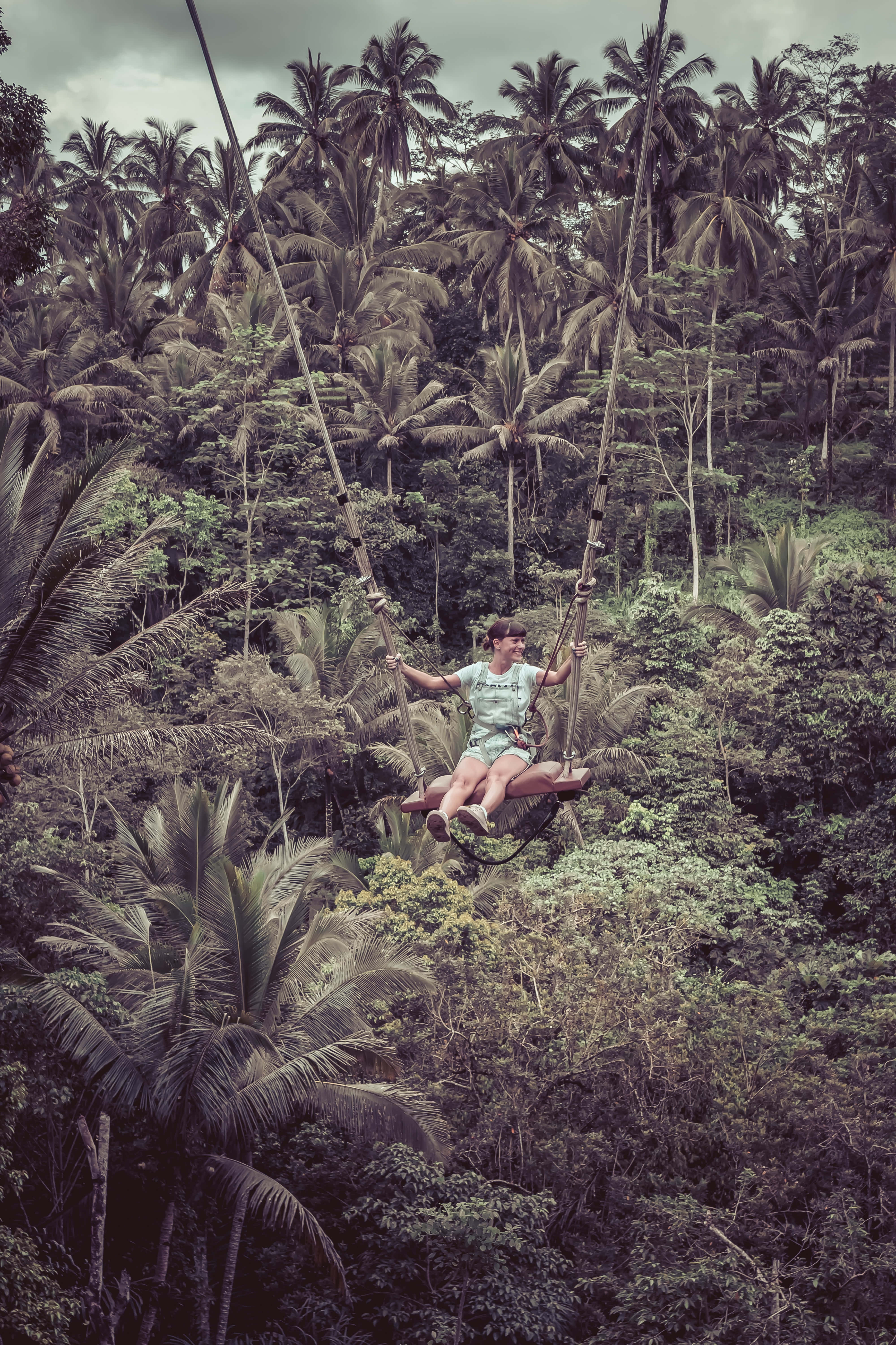 swing 桌布 壁紙 — 一個人在多雲的天空下，在茂密的熱帶叢林樹冠上方高高盪漾，面帶微笑。
