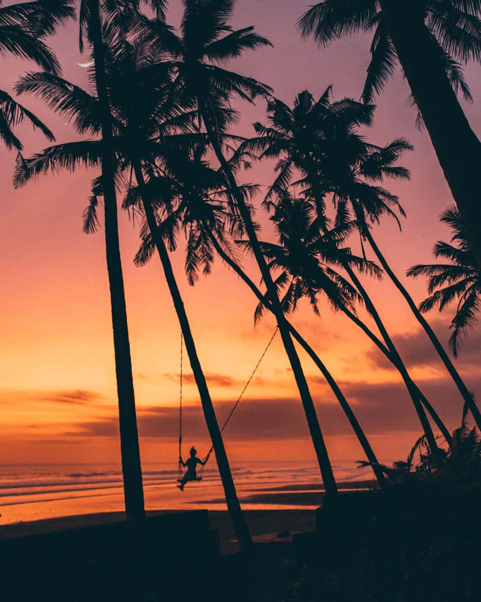 Palm Trees Beach 桌布 壁紙 — 一個人在日落時分於棕櫚樹間盪鞦韆的剪影，背景是海灘上充滿活力的橙色和紫色天空。