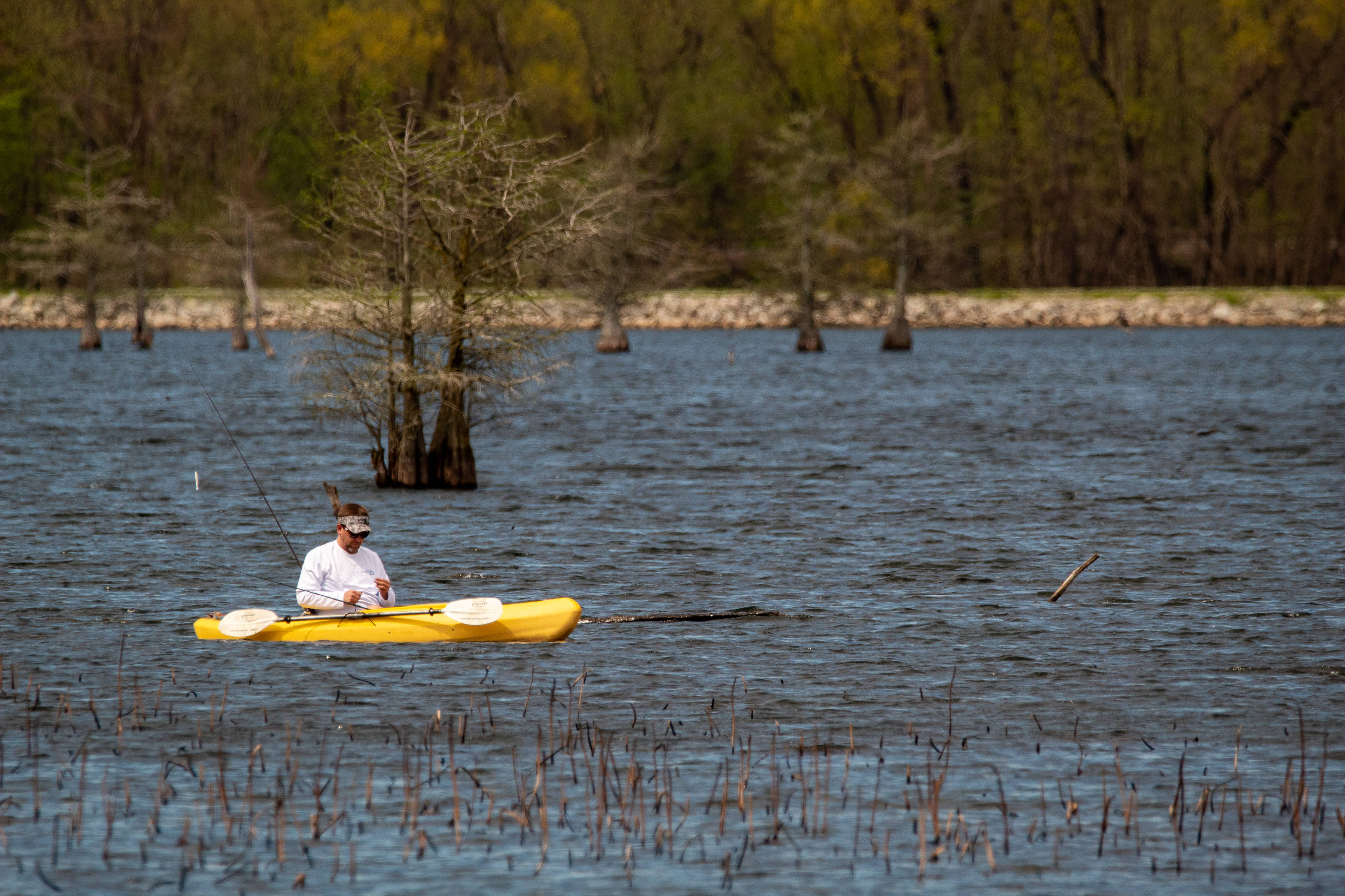 Giancarlo Stanton 桌布 壁紙 — 一個人在明亮的黃色獨木舟上，在柔和日光下，平靜地划過一個有柏樹和蘆葦的沼澤。