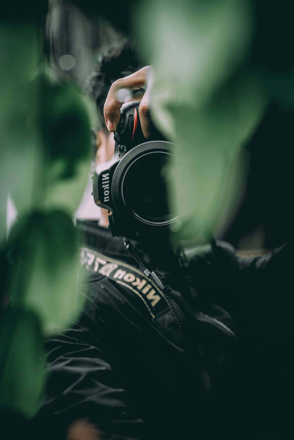 Dslr Camera 桌布 壁紙 — 一個人在昏暗的環境中，透過模糊的綠葉手持尼康DSLR相機。
