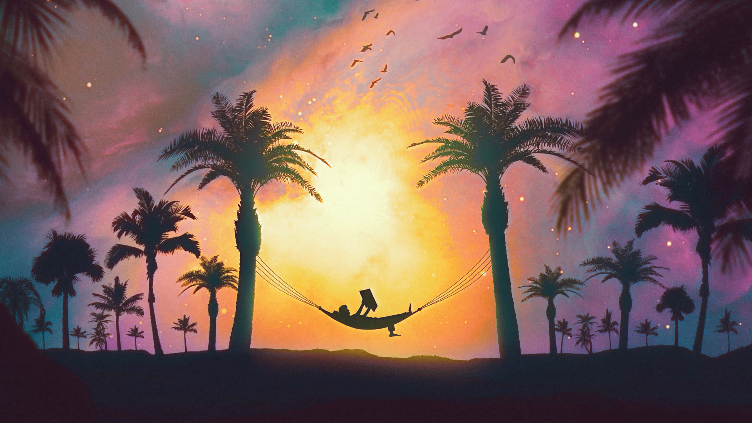 Silhouette 桌布 壁紙 — 一個人在棕櫚樹之間的吊床上閱讀的剪影，背景是充滿活力的日落天空，有飛鳥。