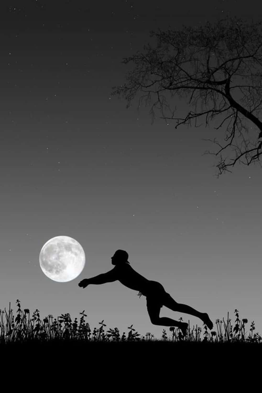 Volleyball 桌布 壁紙 — 一個人在滿天星斗的夜空下，頭頂光禿的樹枝，向著滿月躍起的剪影。
