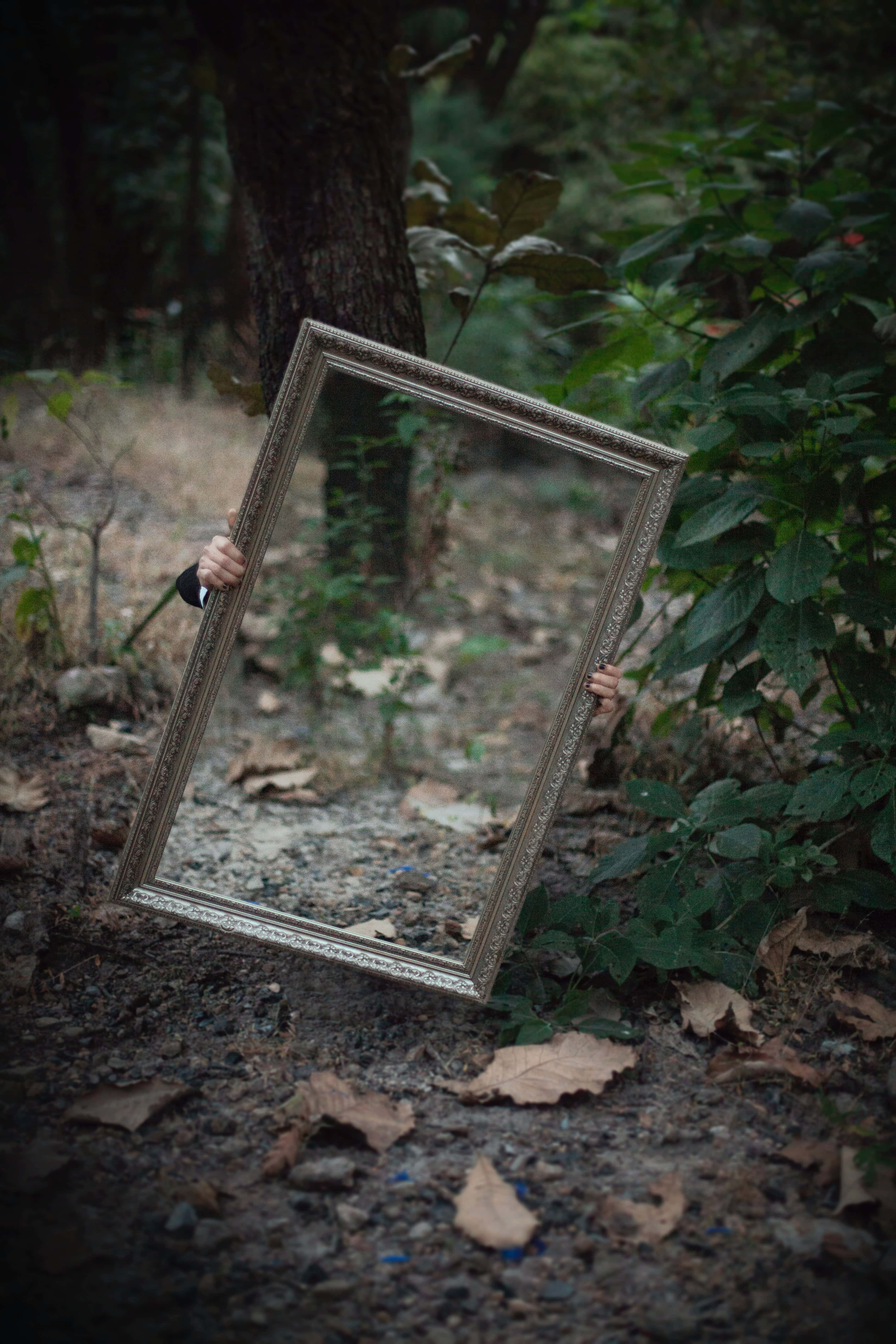 mirror 桌布 壁紙 — 一個人在茂密的森林中手持一個華麗的銀鏡，映照出佈滿樹葉的地面和樹幹。