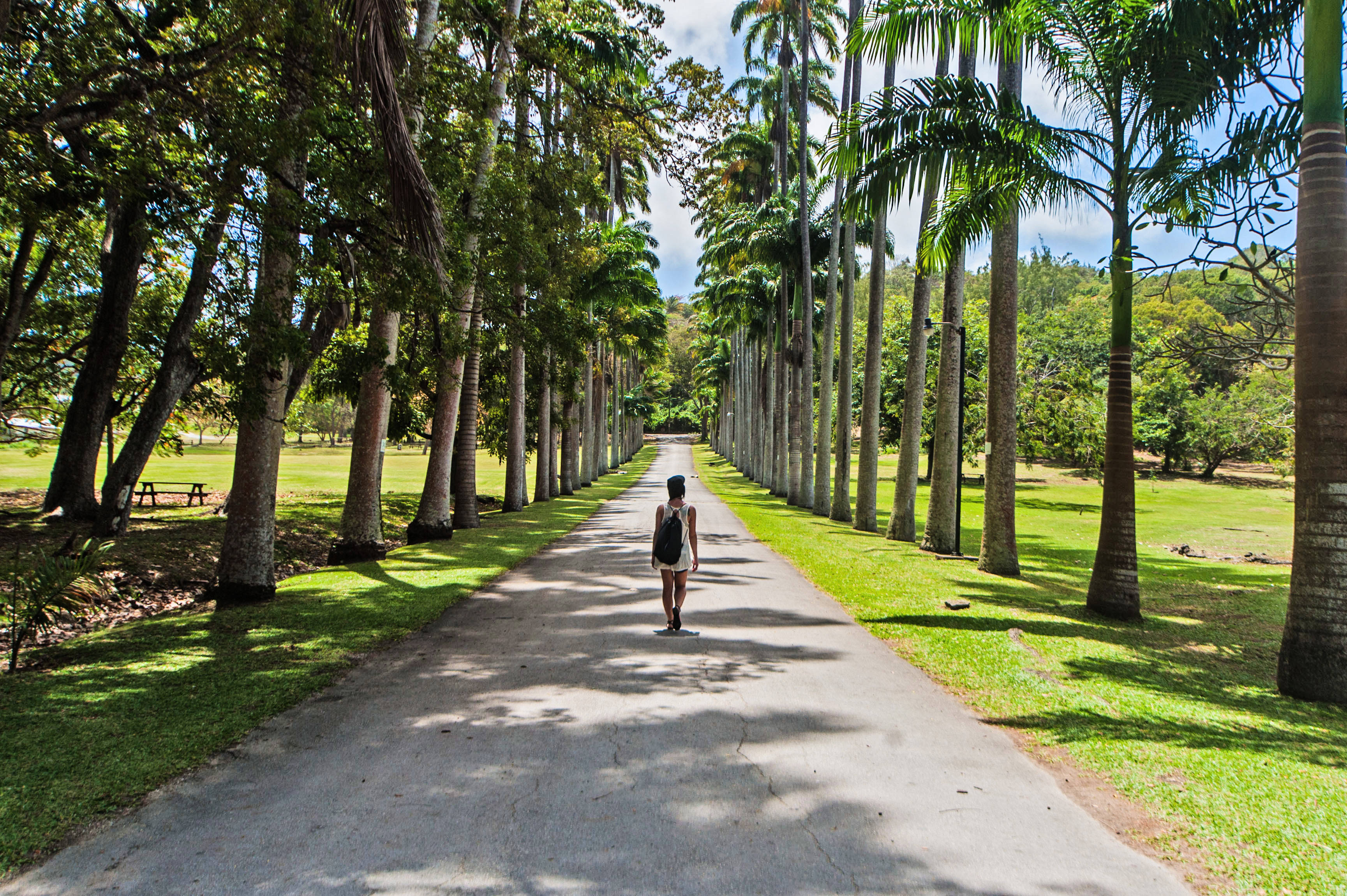Barbados 桌布 壁紙 — 一個人在陽光明媚的天空下，沿著綠樹成蔭的小路走進鬱鬱蔥蔥的綠色公園。