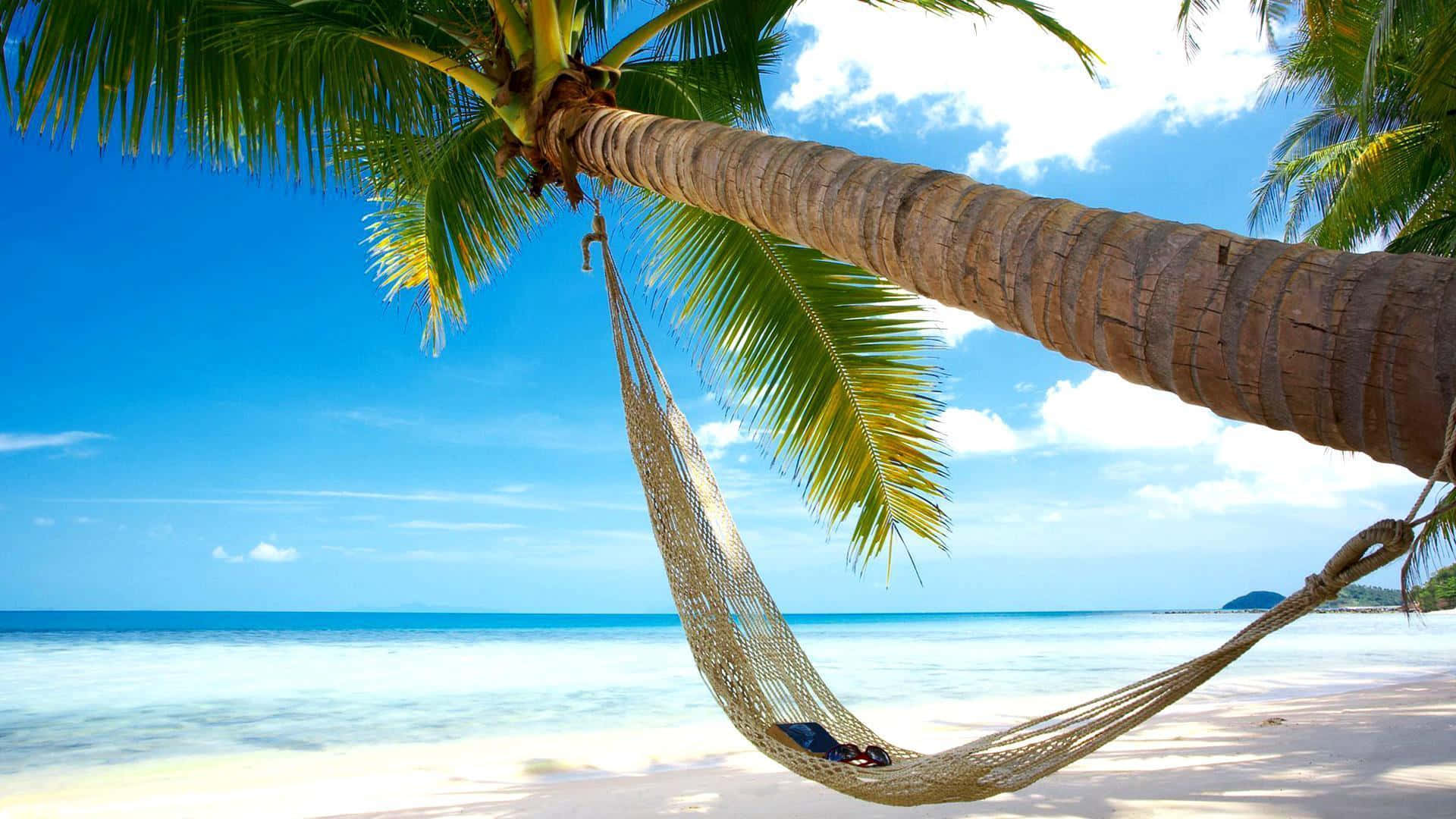 Coconut Tree 桌布 壁紙 — 一個人在陽光普照的熱帶海灘上，在棕櫚樹上懸掛的編織吊床上放鬆，享受碧綠的海水和藍天。