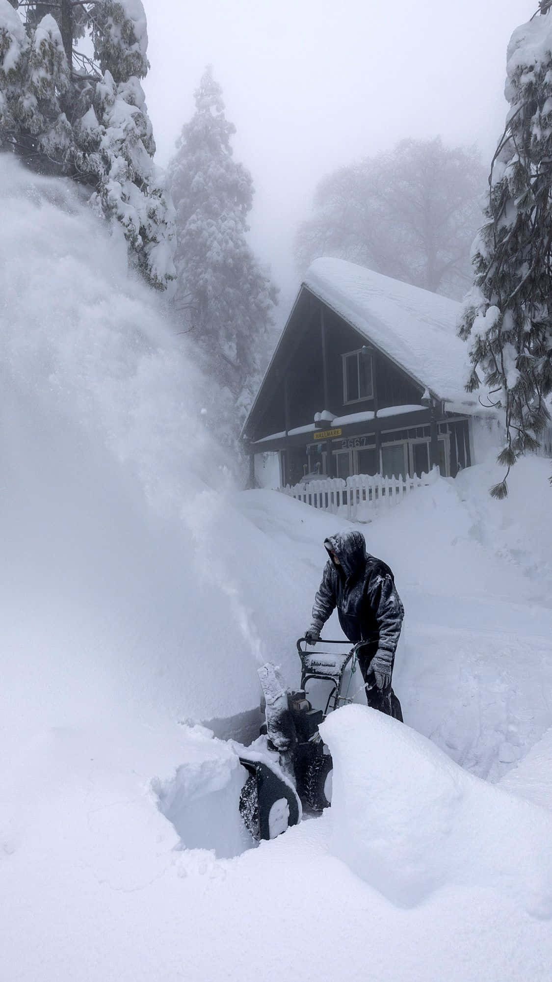 冬天 桌布 壁紙 — 一個人在霧濛濛的冬季森林中，用吹雪機對抗雪堆，旁邊是積雪的小屋。