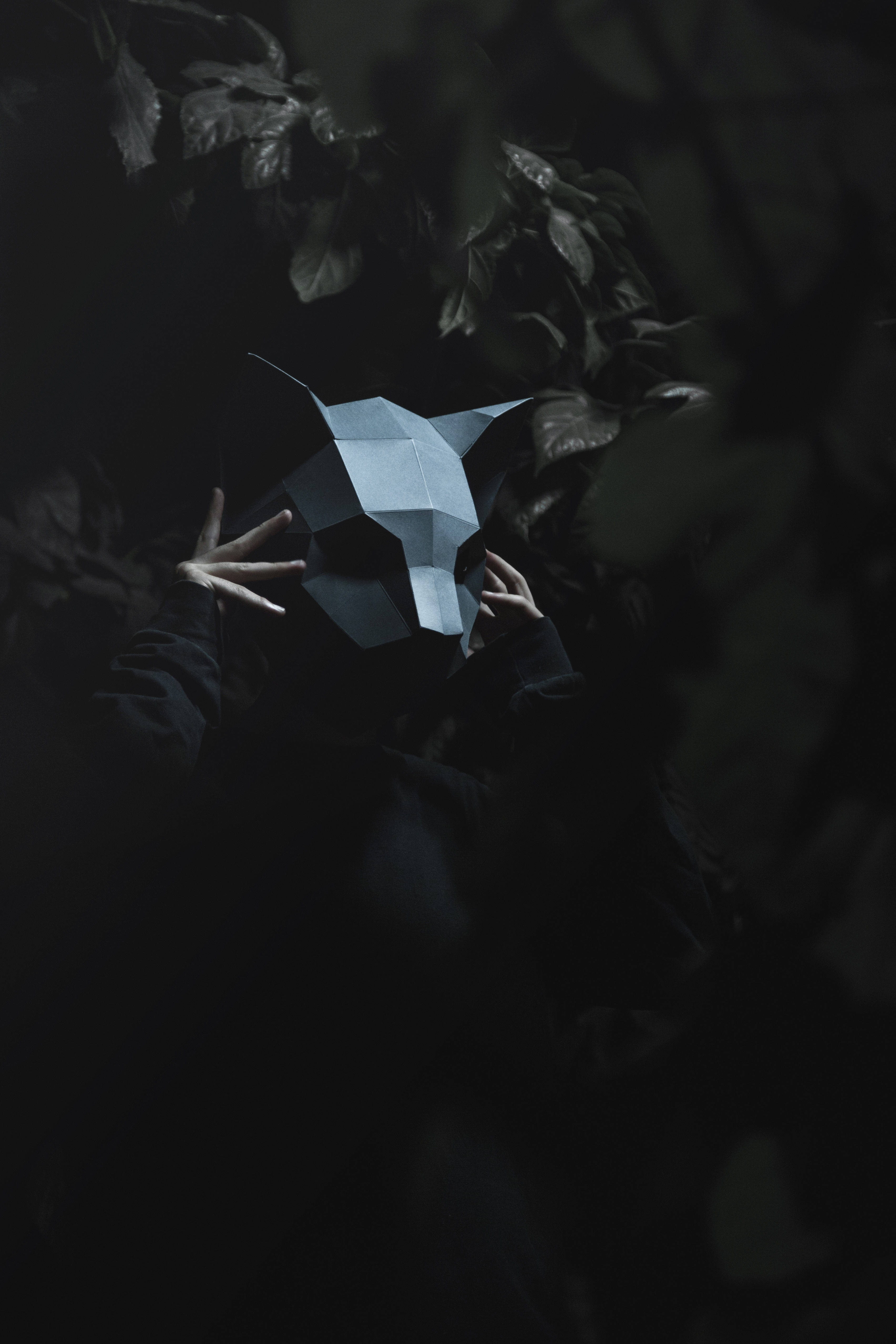 3D 桌布 壁紙 — 一個人在黑暗的森林中，在昏暗的光線下拿著一個幾何狼面具，周圍是陰影中的樹葉。