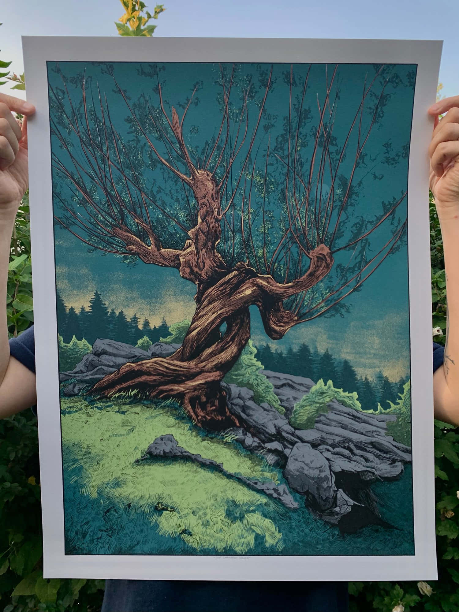 The Whomping Willow 桌布 壁紙 — 一個人手持一個畫框，框內插畫描繪一棵枝幹盤虬的古樹，背景是藍綠色天空和岩石地形。