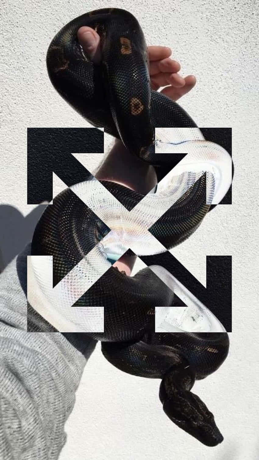 Off White iPhone 桌布 壁紙 — 一個人手持一條大型黑色蟒蛇，靠著白色牆壁，帶有粗體黑色圖形疊加效果。