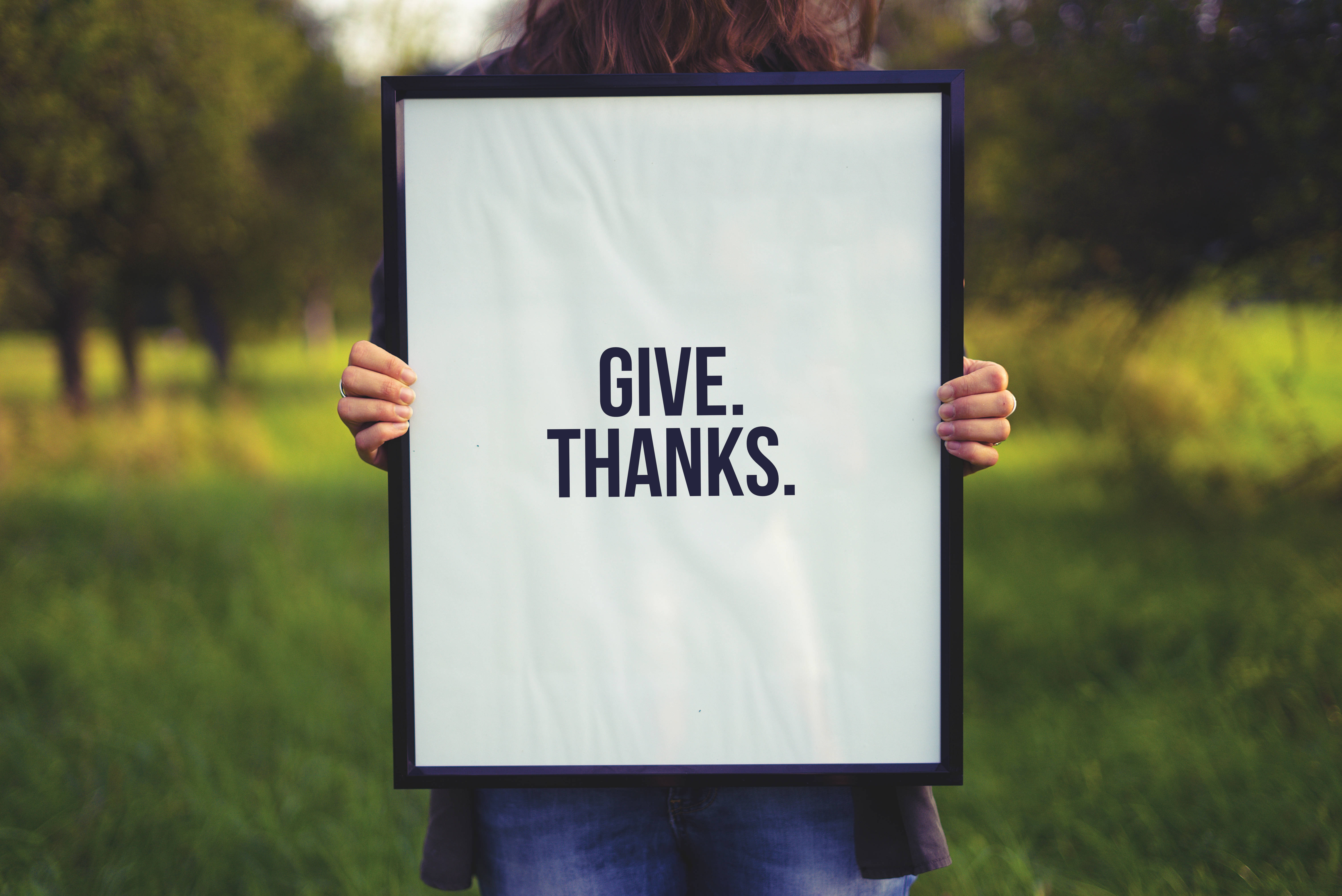 感恩節 桌布 壁紙 — 一個人拿著一個帶框的牌子，上面寫著 give thanks，背景是柔和的綠色田野。