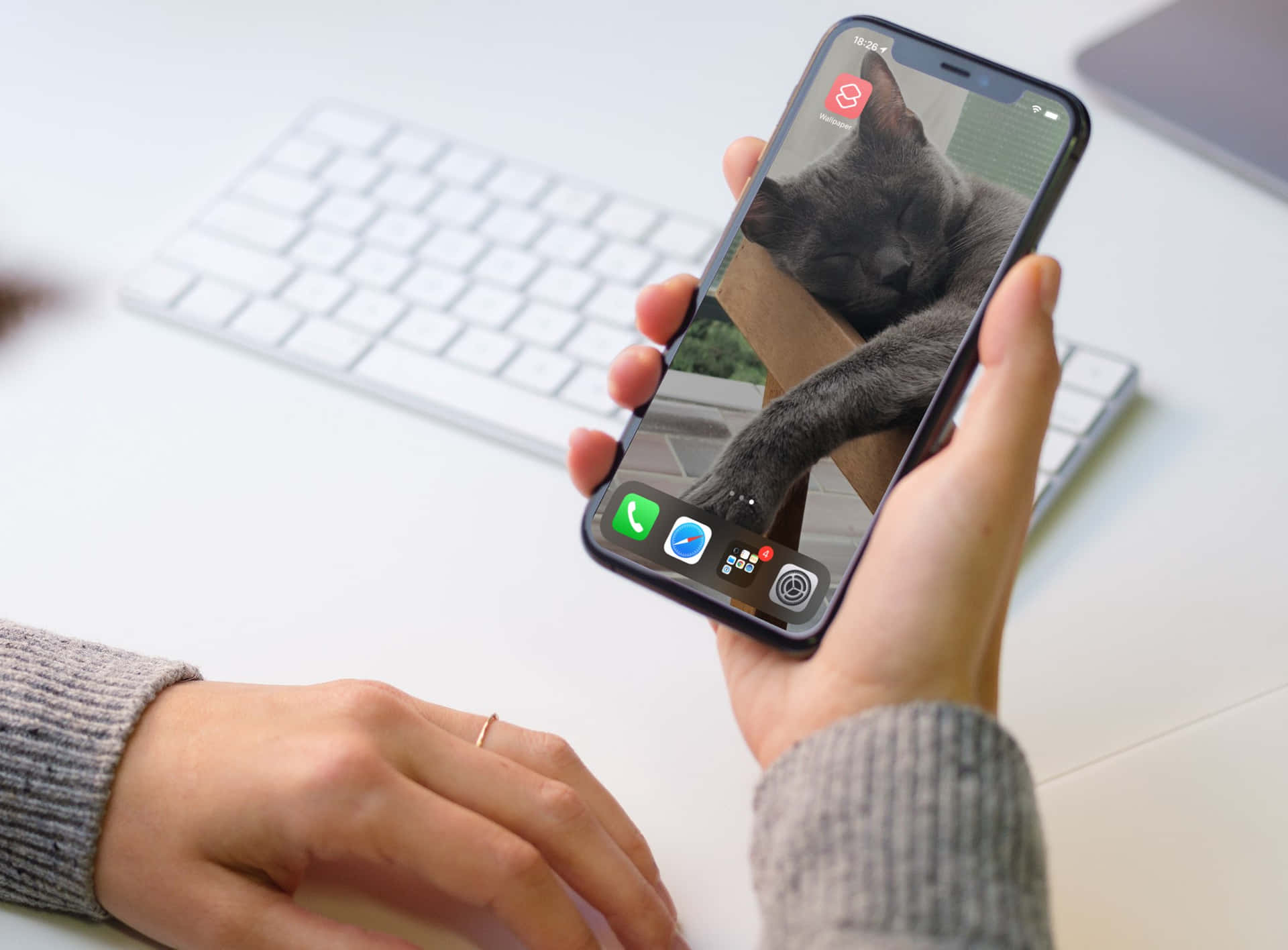 iPhone 桌布 壁紙 — 一個人拿著智慧型手機，顯示視訊通話中一隻在紙箱裡睡覺的灰色貓咪。