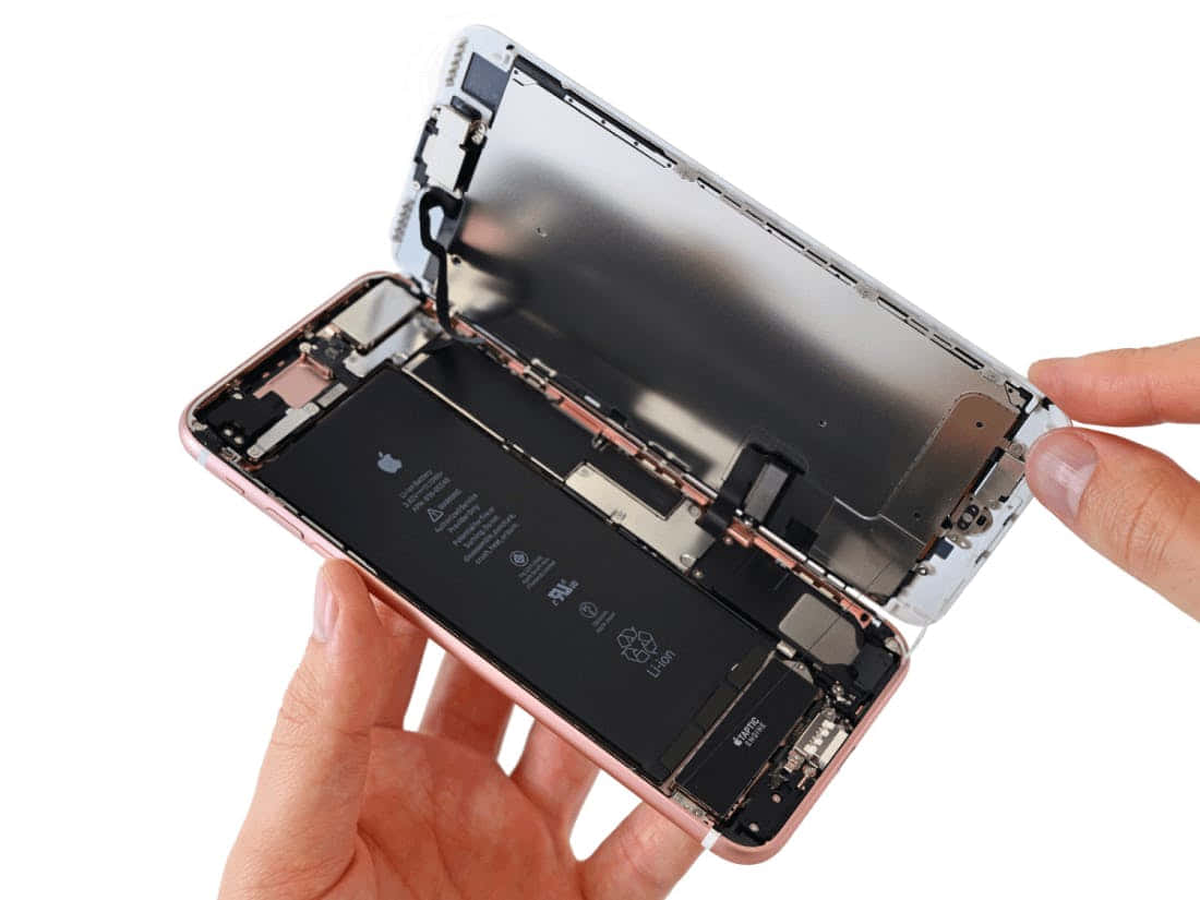 一個人拿著背蓋已拆下的 iPhone 6s 壁紙