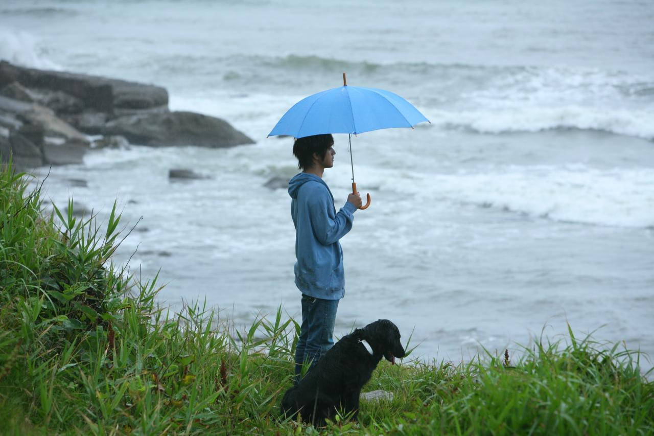 人與狗拿著藍色雨傘在懸崖上眺望海洋。 — 單身男孩 壁紙
