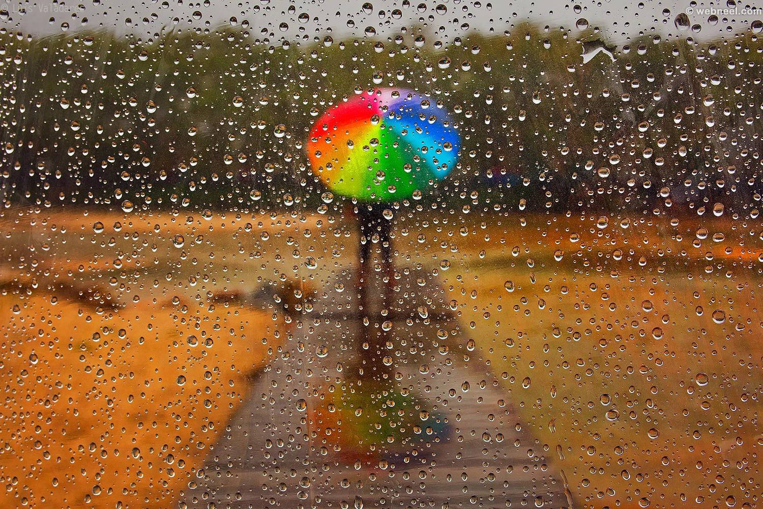 下雨 桌布 壁紙 — 一個人拿著鮮豔的彩虹傘，在濕漉漉的小路上行走，透過佈滿雨點的窗戶觀看。