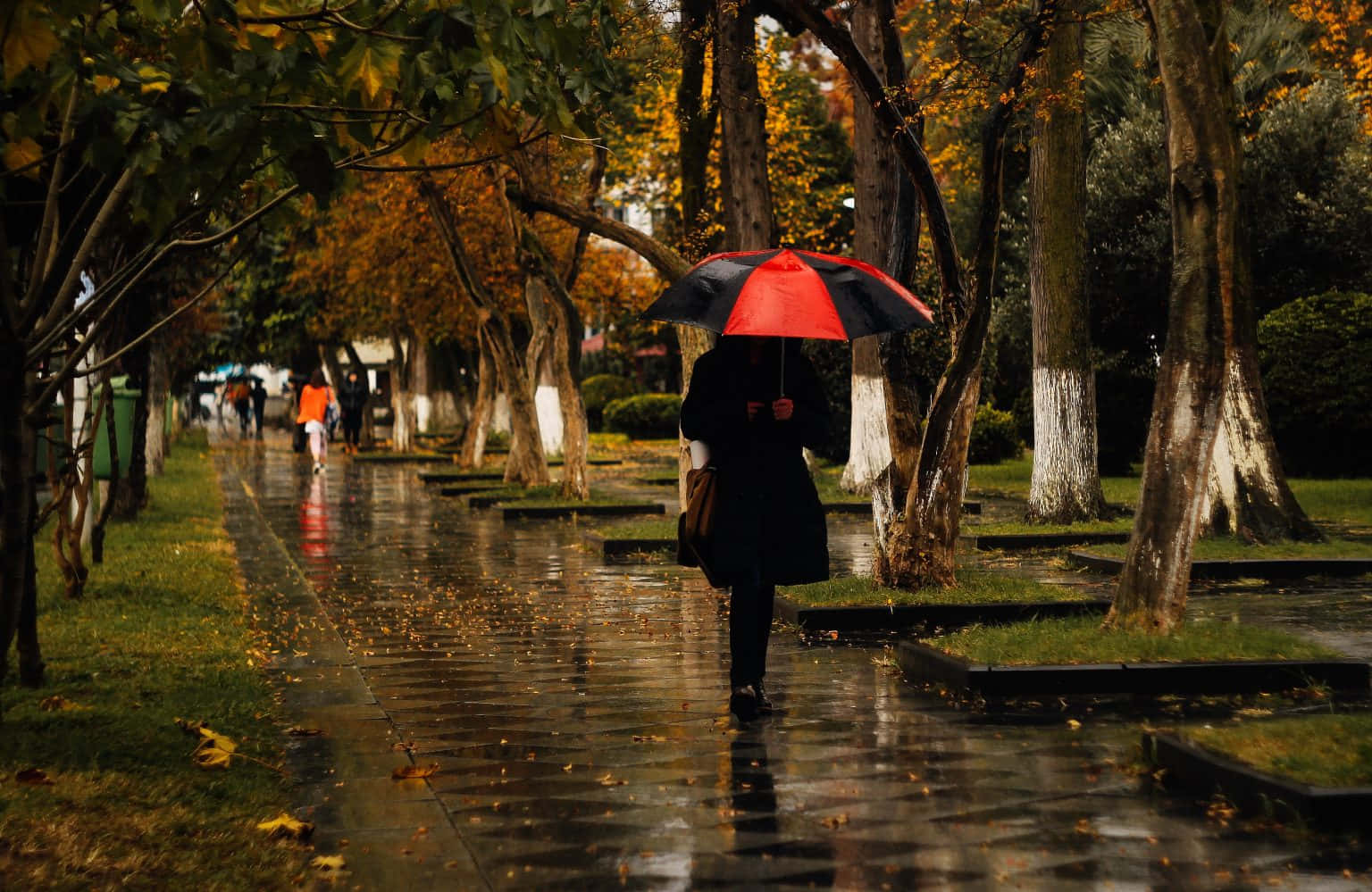 Rainy Day 桌布 壁紙 — 一個人獨自撐著紅黑相間的雨傘，走在濕漉漉的秋日林蔭小徑上，小徑映照著金黃的落葉。