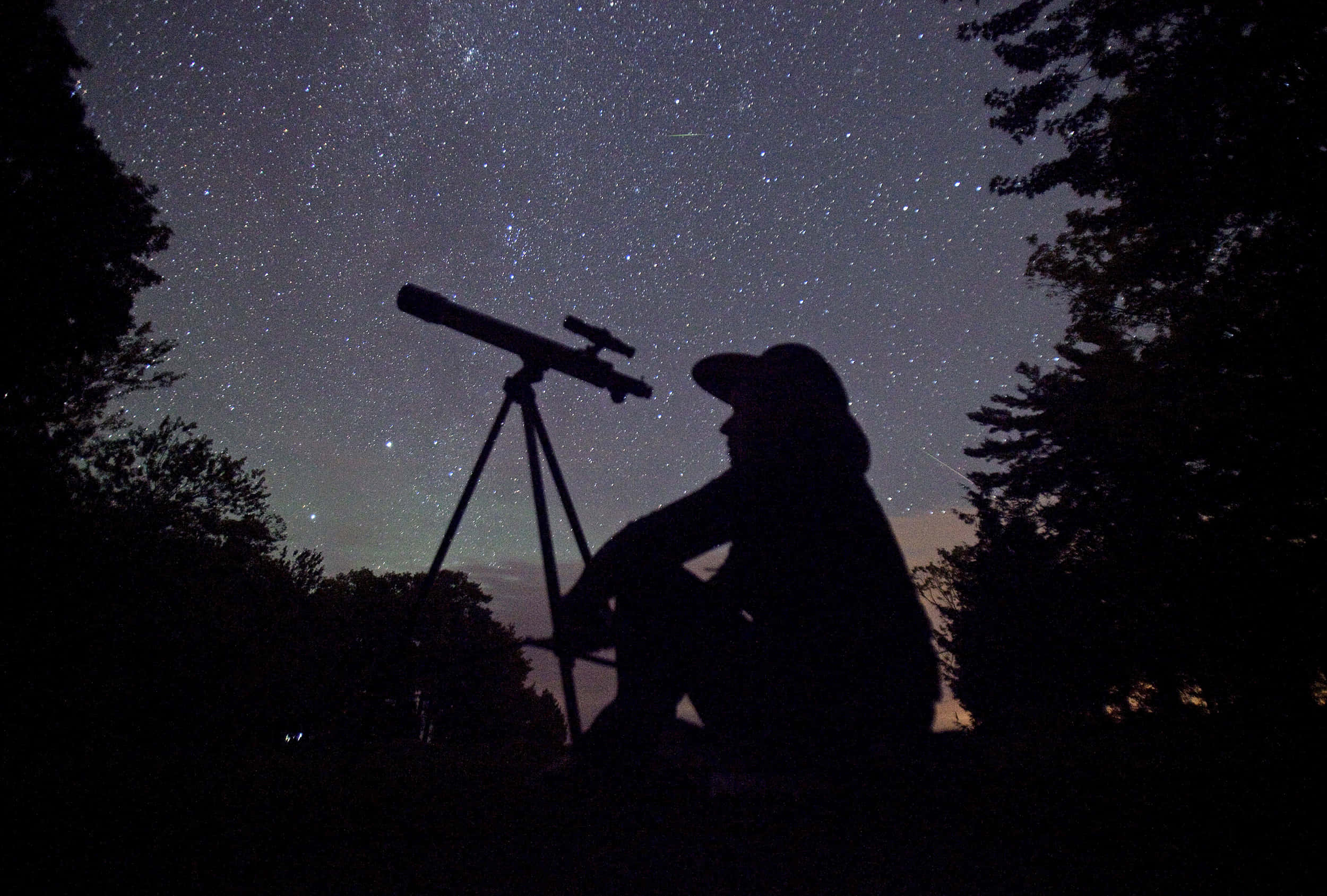 Stars 桌布 壁紙 — 一個人用望遠鏡凝視著被黑暗樹木框住的星空夜景的剪影。