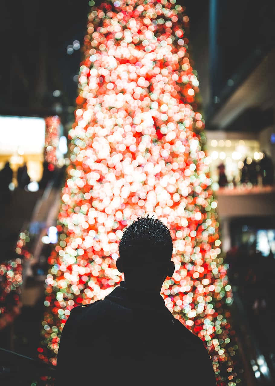 Christmas Couple 桌布 壁紙 — 一個人的剪影，凝視著一棵在夜晚閃爍著紅、白、綠光的迷人散景聖誕樹。