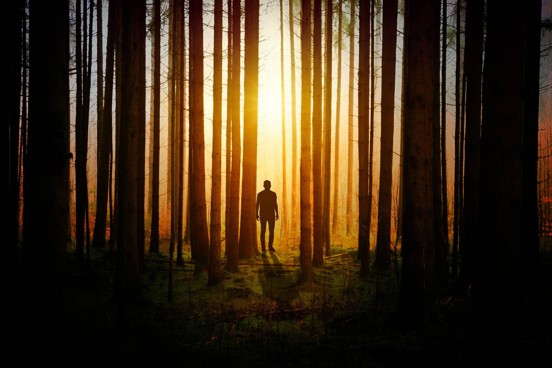 Silhouette 桌布 壁紙 — 一個人的孤獨剪影站在茂密的森林中，金色陽光在日出時穿過高大的樹木。
