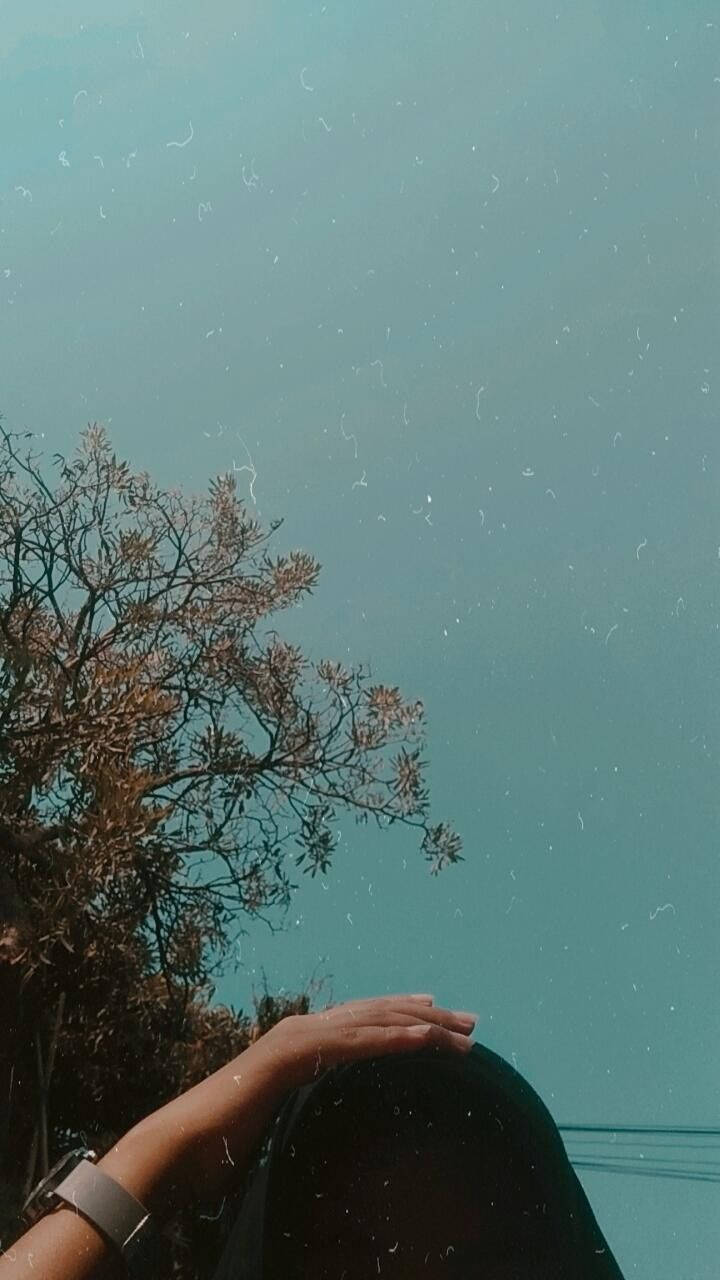 Pfp 桌布 壁紙 — 一個人的手放在他們的頭上，在廣闊的青綠色天空下，有光禿的樹枝和底片顆粒紋理。