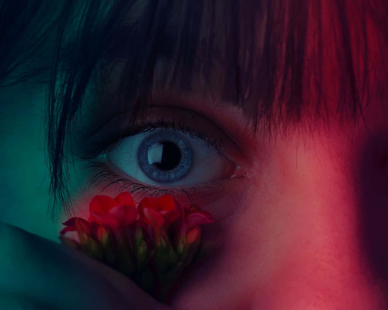 Eye 桌布 壁紙 — 一個人的眼睛特寫，向前凝視，同時將紅色花朵靠近鼻子，在戲劇性的紅色和藍綠色燈光下。