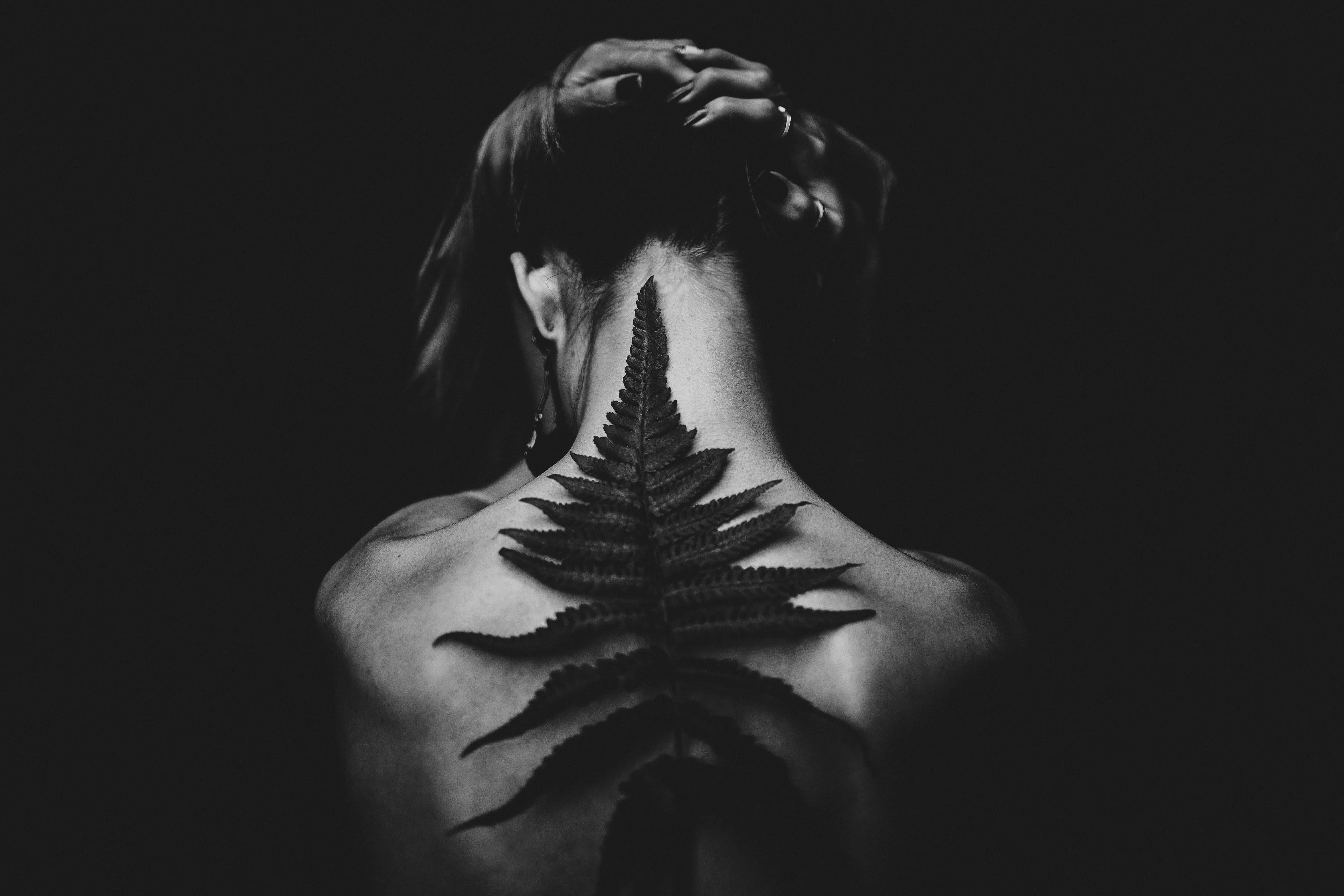 黑白 桌布 壁紙 — 一個人的背部，有一個大型蕨類刺青沿著脊椎延伸，背景為深色。