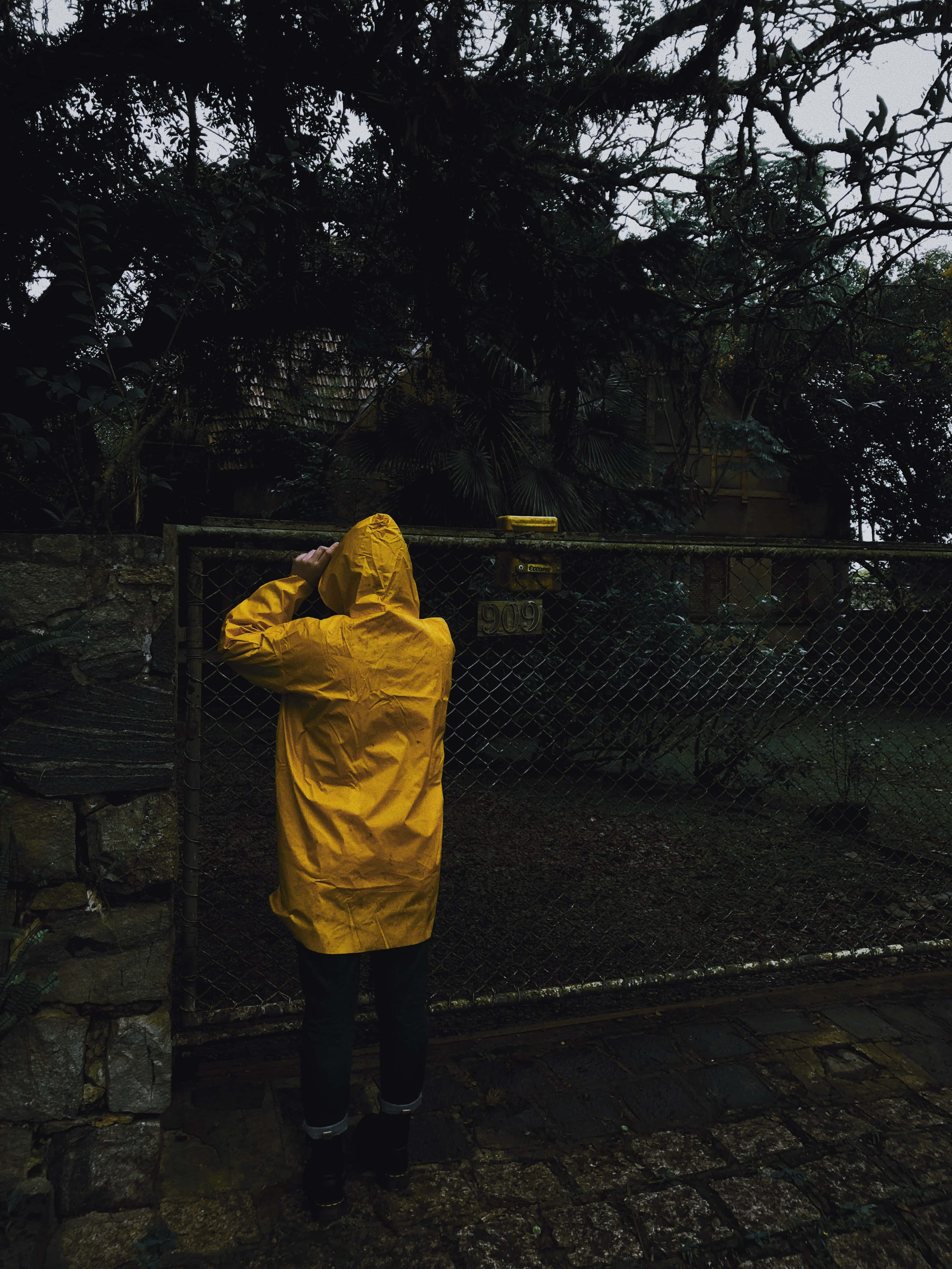 Yellow Raincoat 桌布 壁紙 — 一個人穿著亮黃色雨衣，獨自站在陰暗、樹葉茂密的花園中的鐵絲網門前，天空多雲。