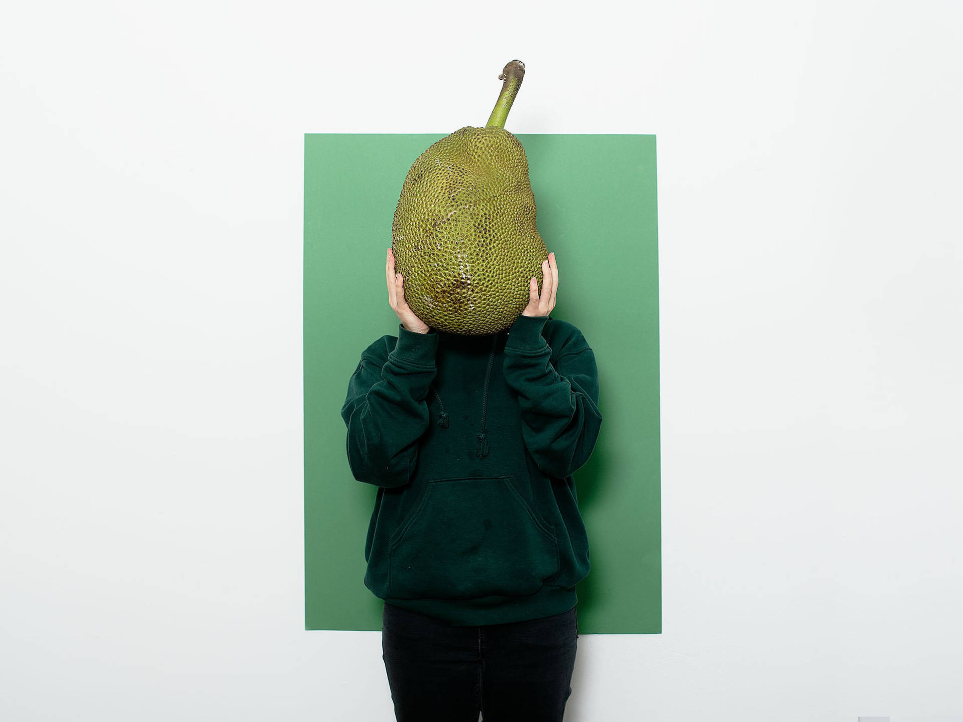 Fruit 桌布 壁紙 — 一個人穿著深綠色連帽衫，在綠色背景前將一個帶刺的大波羅蜜舉在臉上。