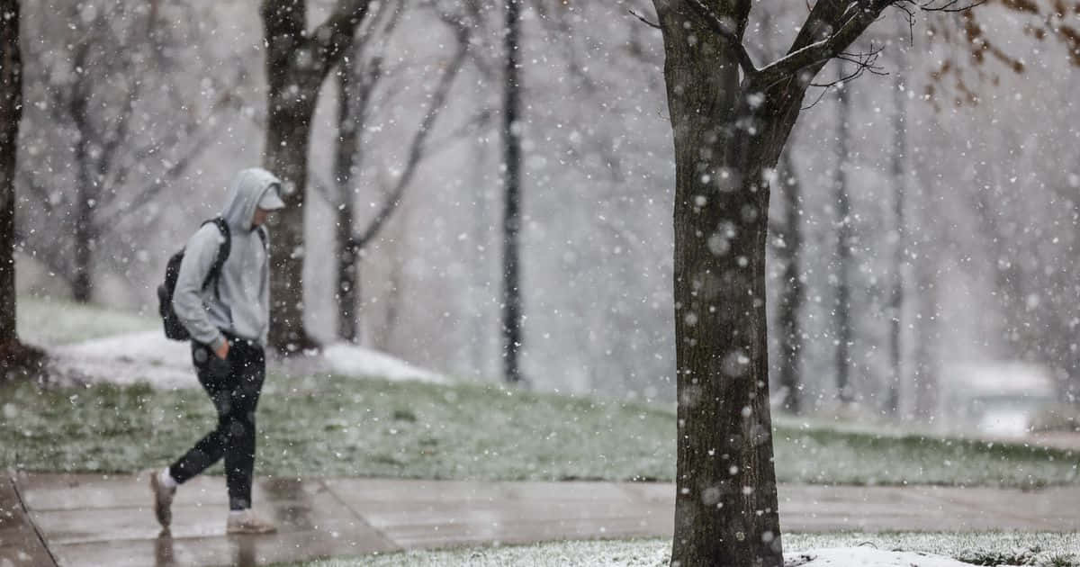 下雨 桌布 壁紙 — 一個人穿著灰色連帽衫，獨自走在積雪的人行道上，穿過一個寧靜的公園，公園裡有光禿禿的樹木，伴隨著輕柔的降雪。