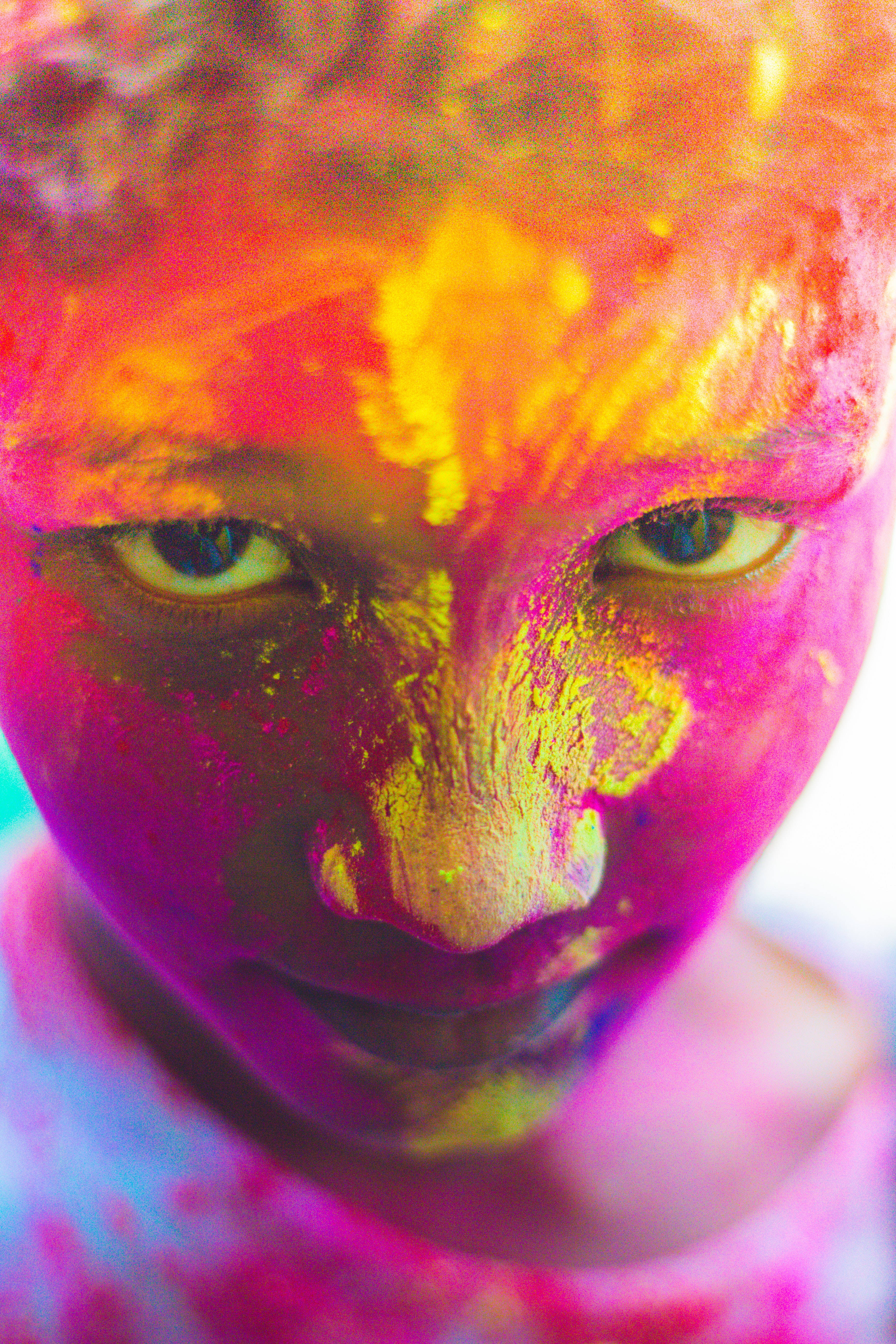 Holi 桌布 壁紙 — 一個人臉部的特寫，覆蓋著充滿活力的粉紅色、橙色和黃色粉末，雙眼強烈地凝視前方。