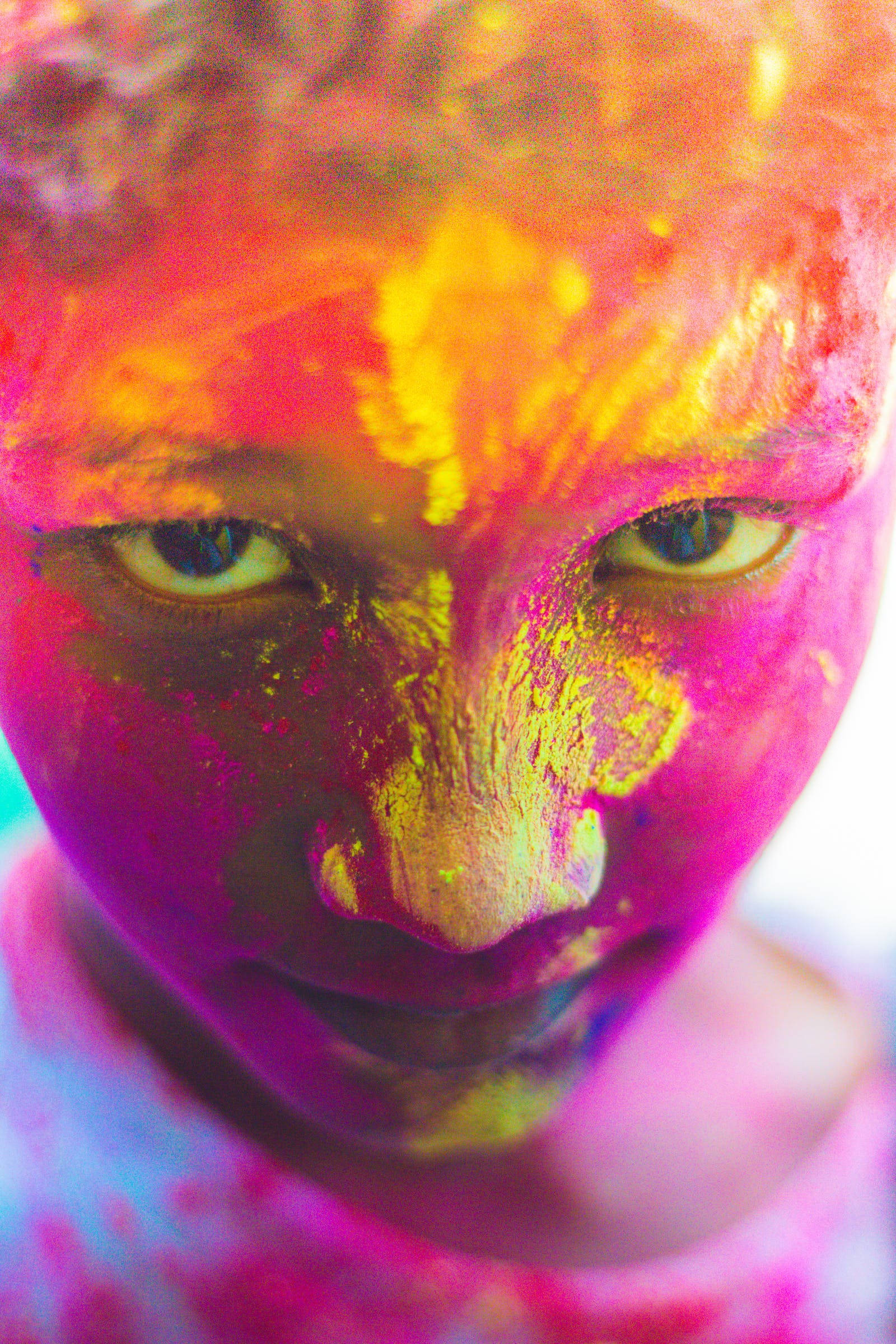 Holi 桌布 壁紙 — 一個人臉部的特寫肖像，臉上覆蓋著鮮豔的粉紅色、黃色和橙色粉末，雙眼炯炯有神地直視前方。