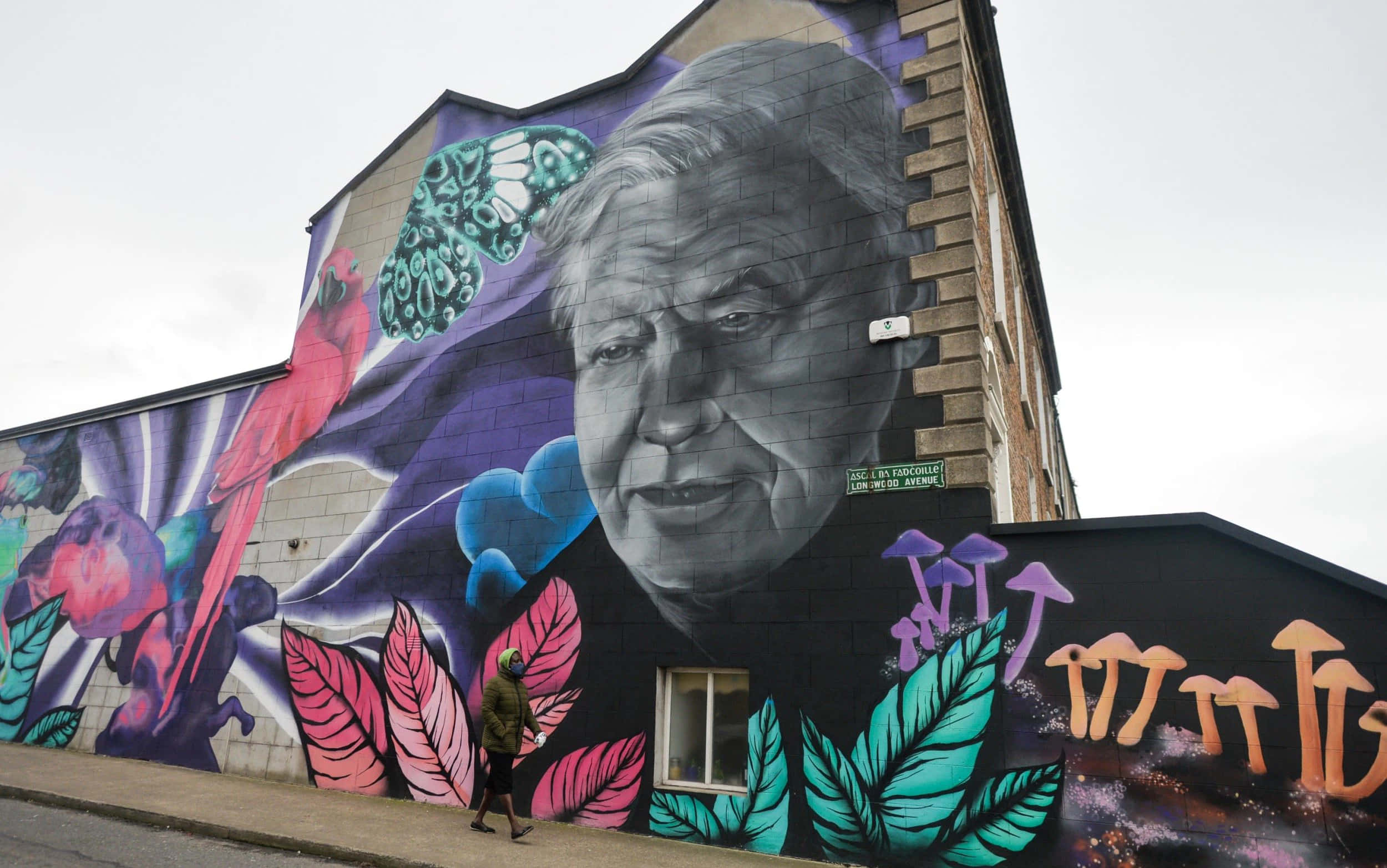 Graffiti Art 桌布 壁紙 — 一個人走過一幅色彩繽紛的壁畫，畫中是一個男人的臉，周圍環繞著色彩斑斕的蝴蝶和熱帶樹葉，畫在磚砌建築上。