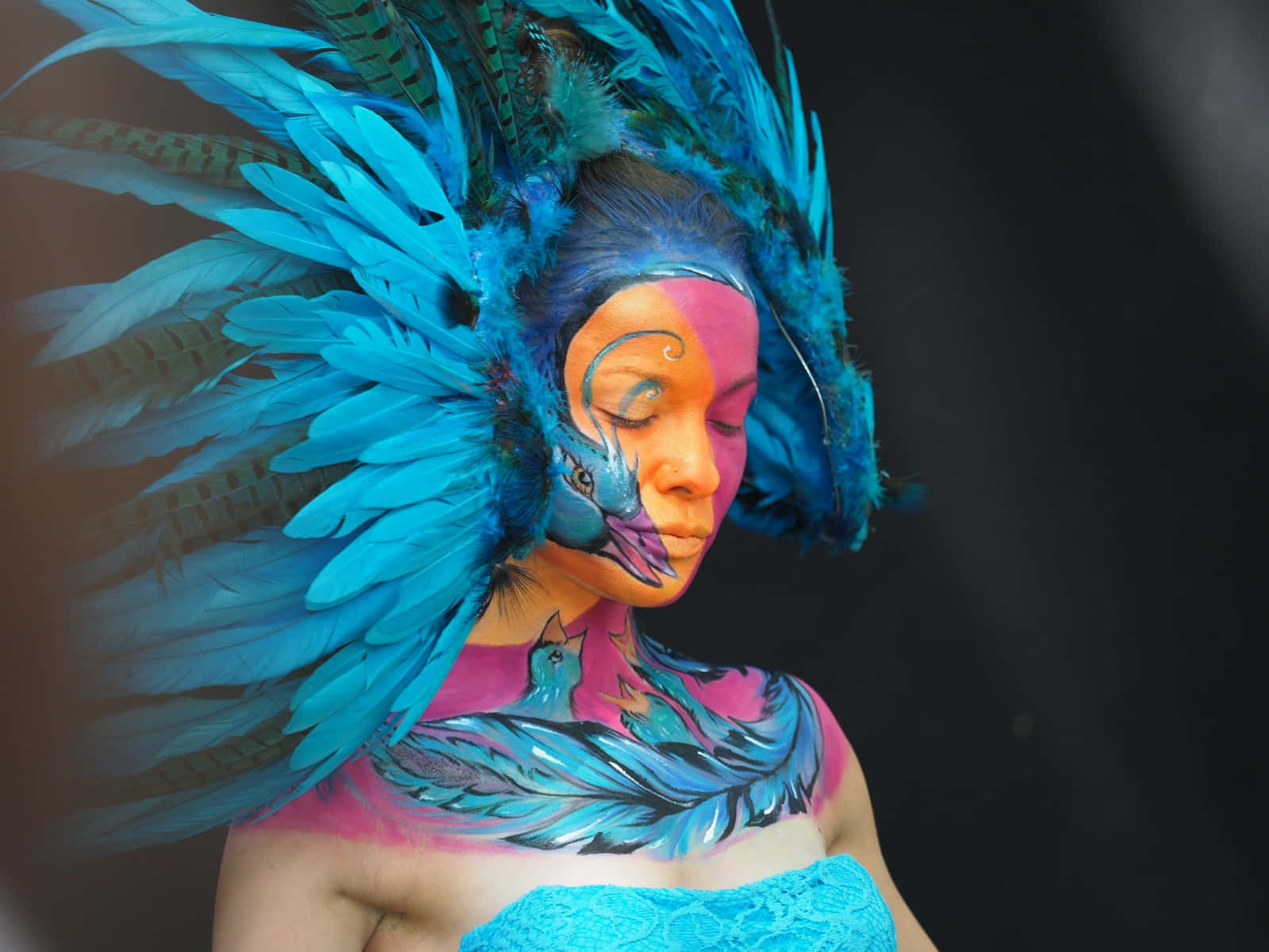 body art 桌布 壁紙 — 一個人身上塗有鮮豔的藍色和粉紅色人體彩繪，戴著一個大的藍色羽毛頭飾，在黑暗的背景下向下凝視。