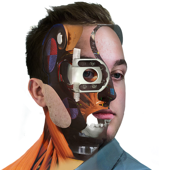 cyborg 桌布 壁紙 — 一個人類頭部，一半暴露的生物力學內部結構，在黑色背景上顯示肌肉、神經和電路。